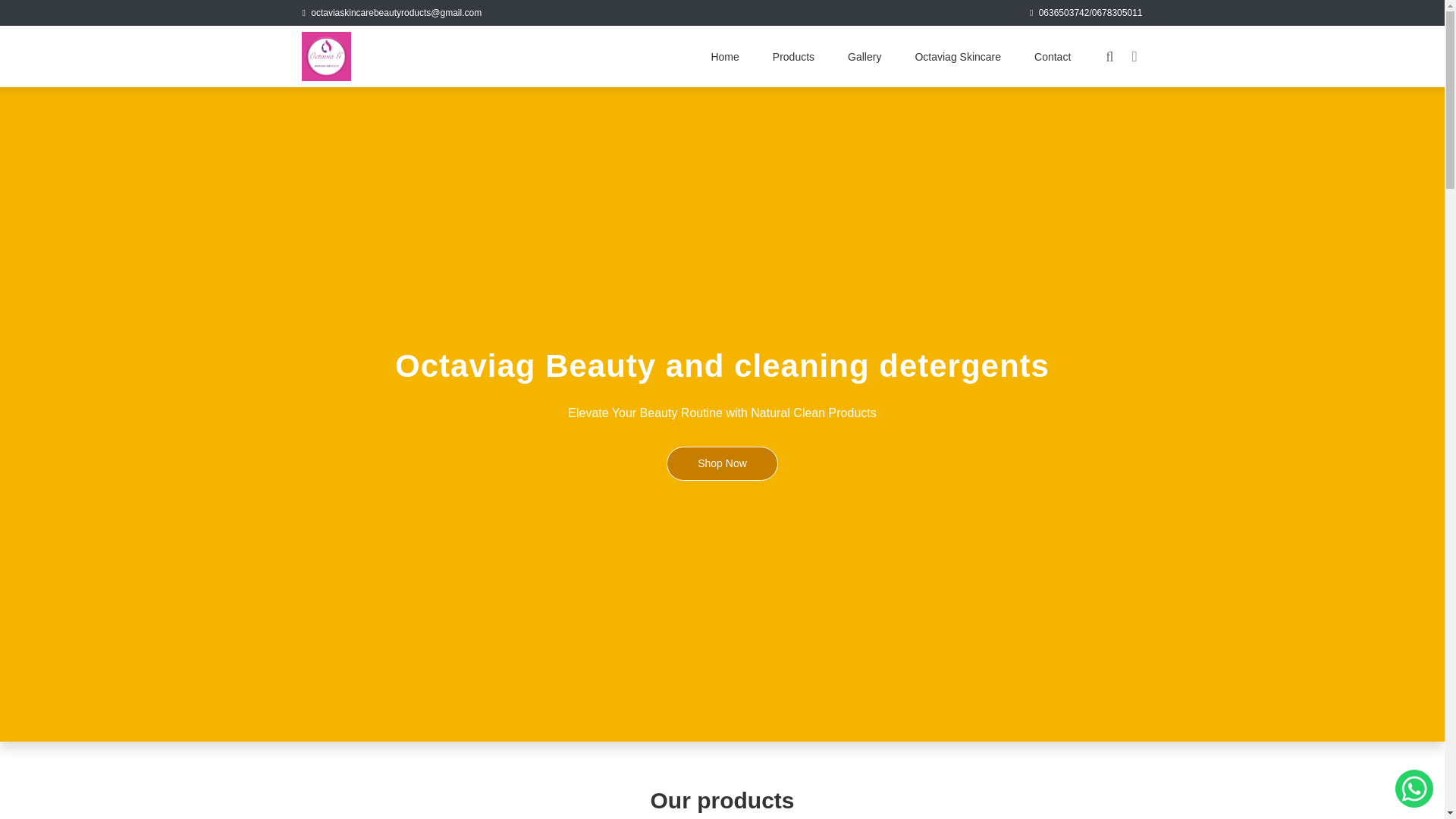 website screenshot of https://octaviagbeautyandcleaningdetergents.co.za/