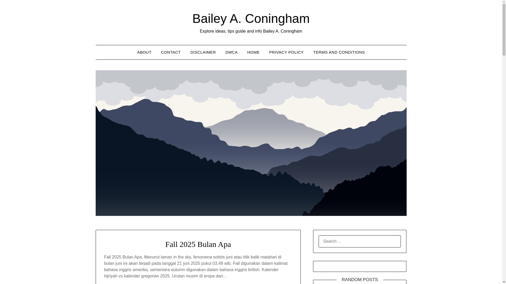 website screenshot of https://baileyaconingham.pages.dev/