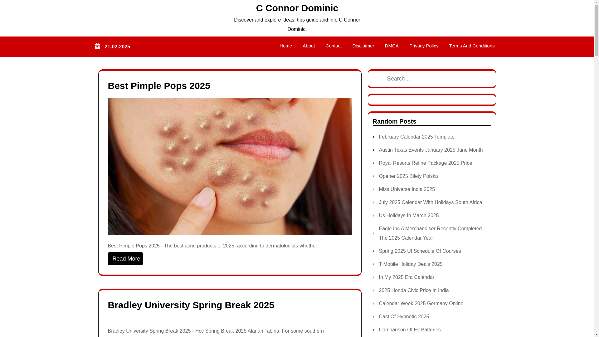 website screenshot of https://cconnordominic.pages.dev/