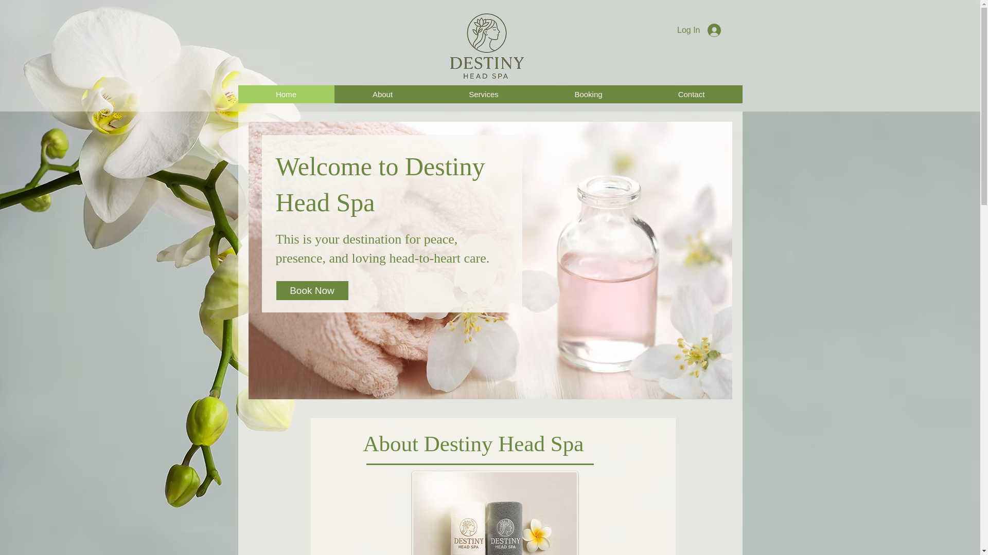 website screenshot of https://destinyheadspa.com.au/