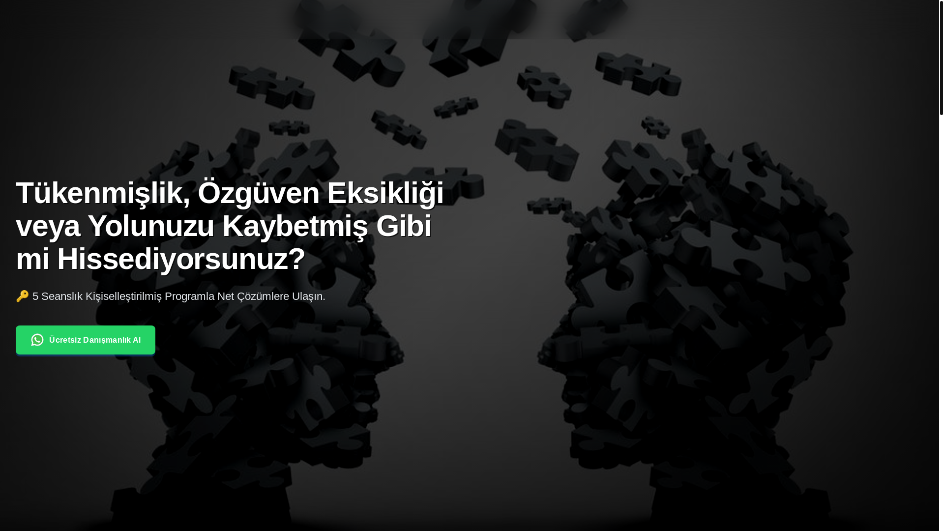 website screenshot of https://sarmalkocluk.com.tr/