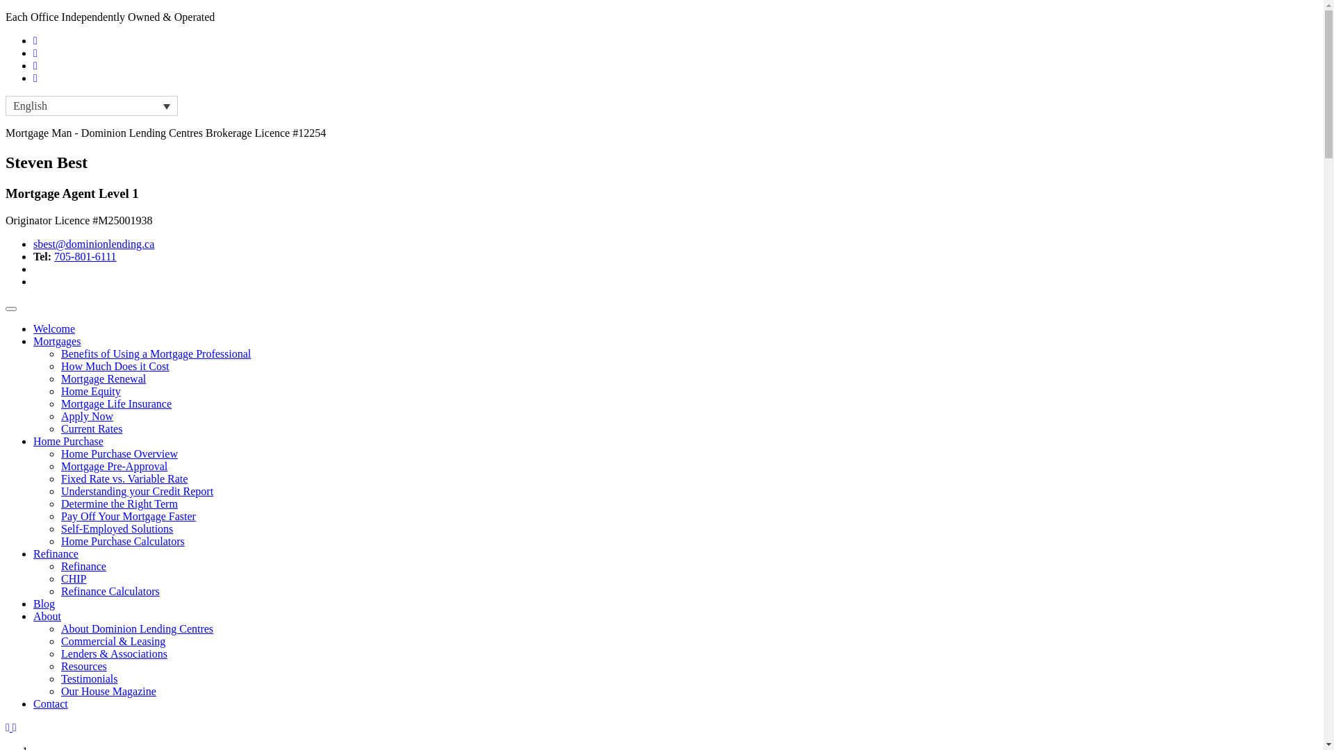 website screenshot of https://stevebest.ca/