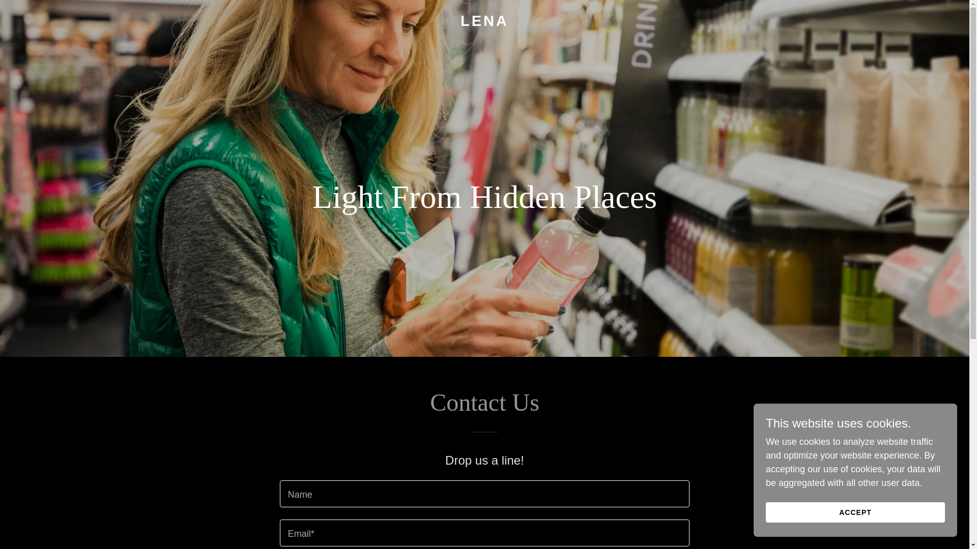 website screenshot of https://lenaglobe.com/