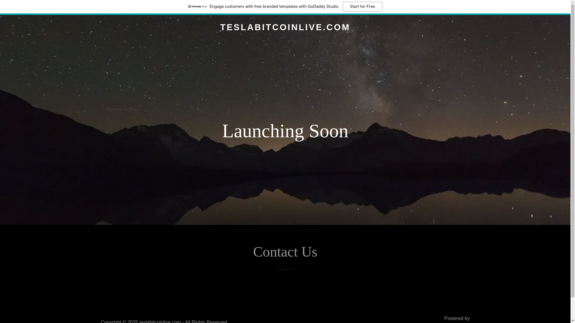 website screenshot of https://teslabitcoinlive.com/