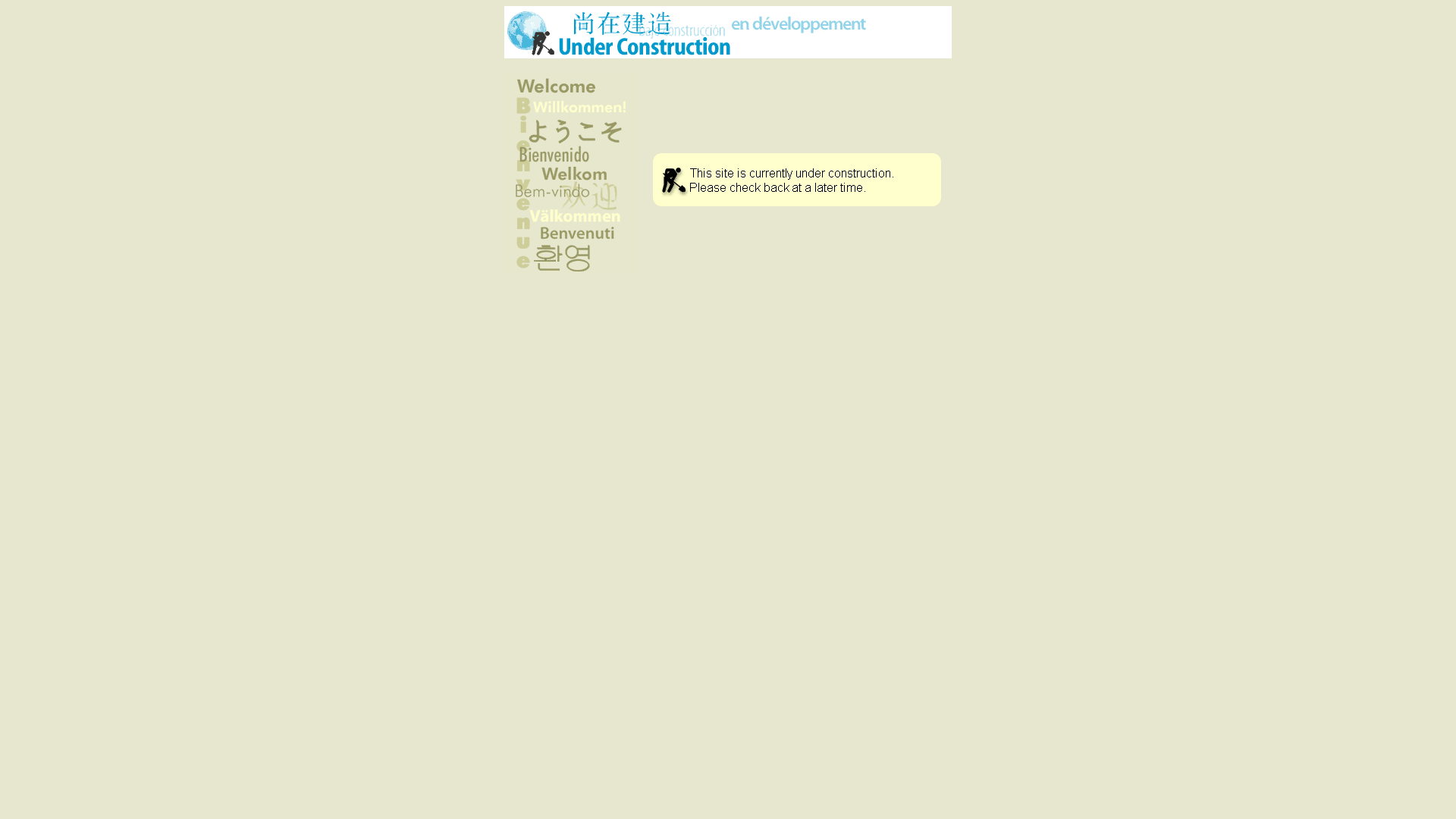 website screenshot of https://paulamirandat.com.br/