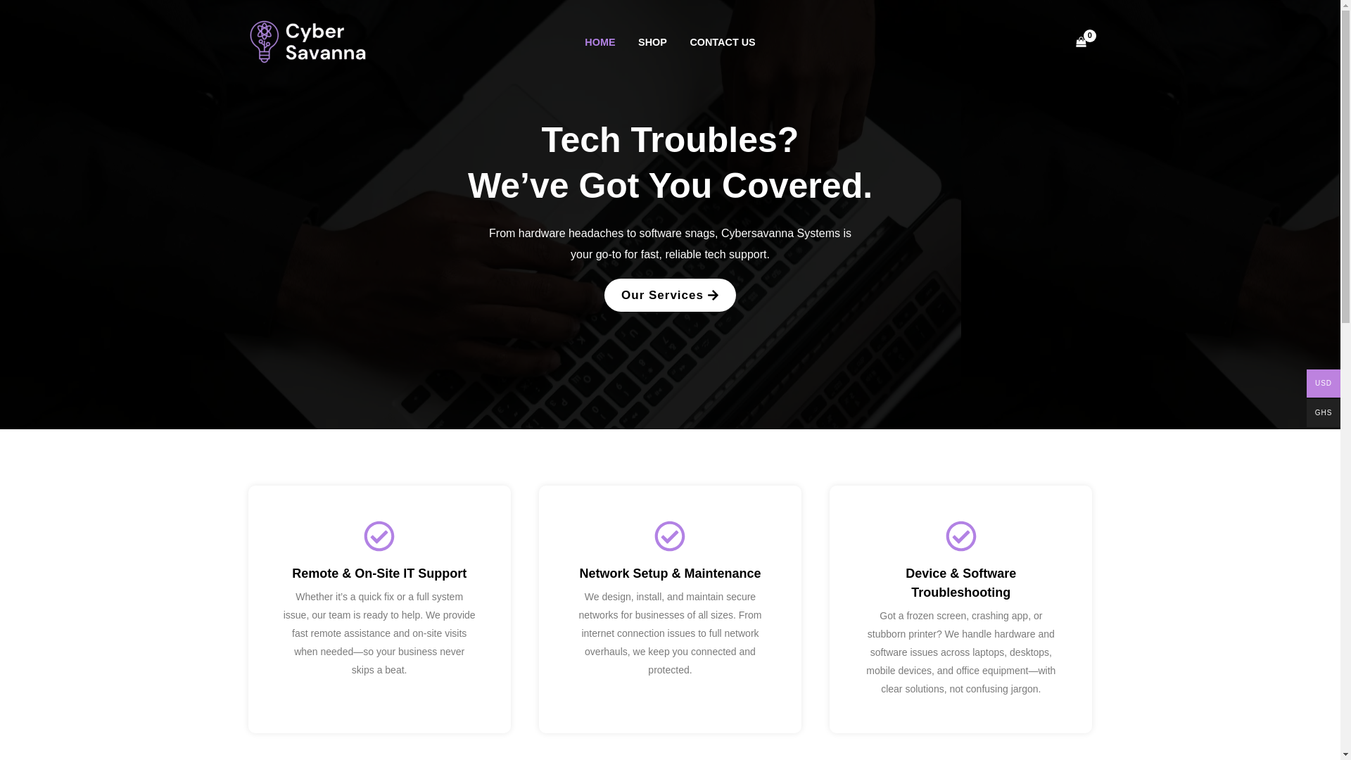 website screenshot of https://cybersavannasystems.com/