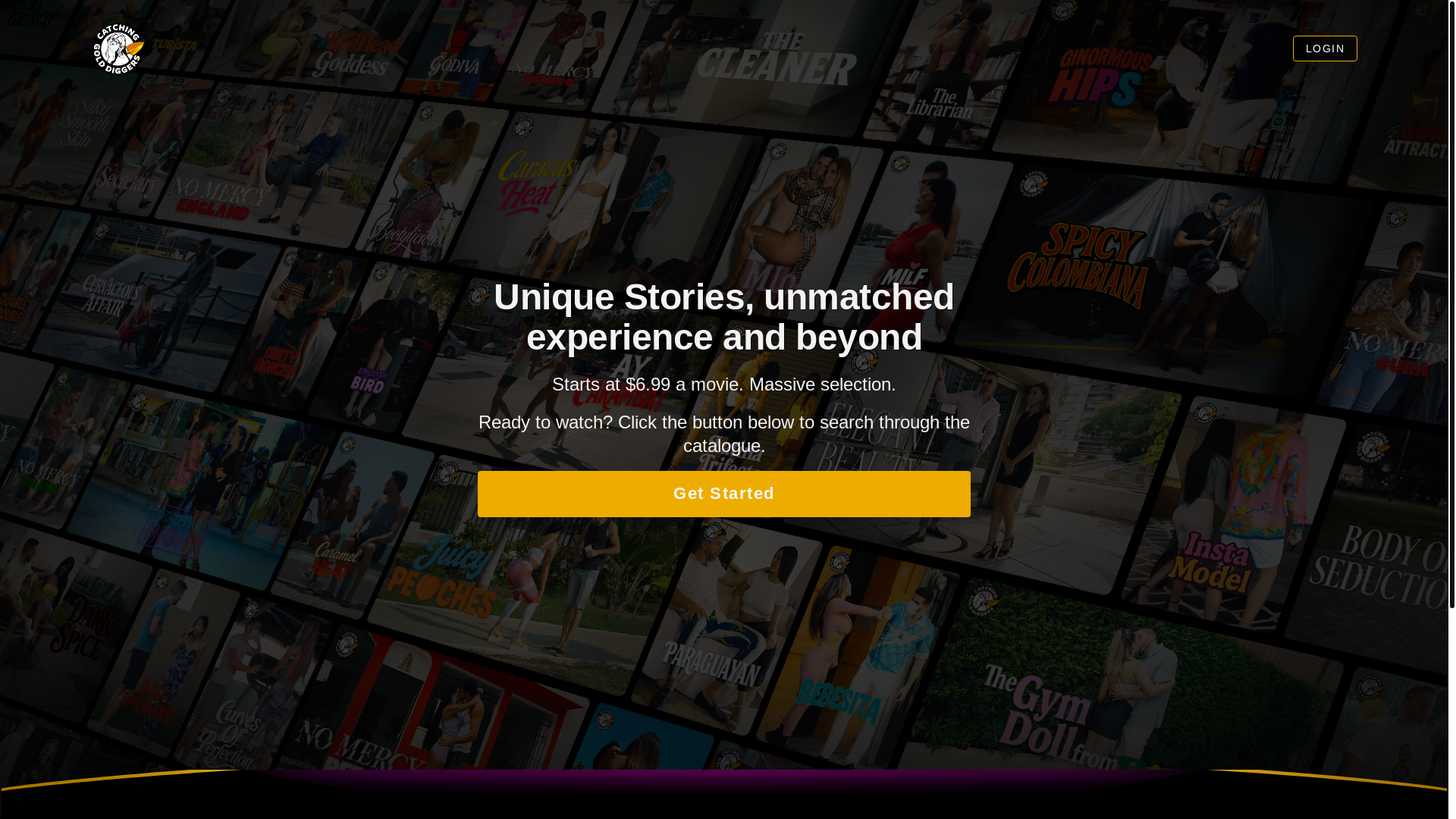 website screenshot of https://catching-gold-diggers.pages.dev/
