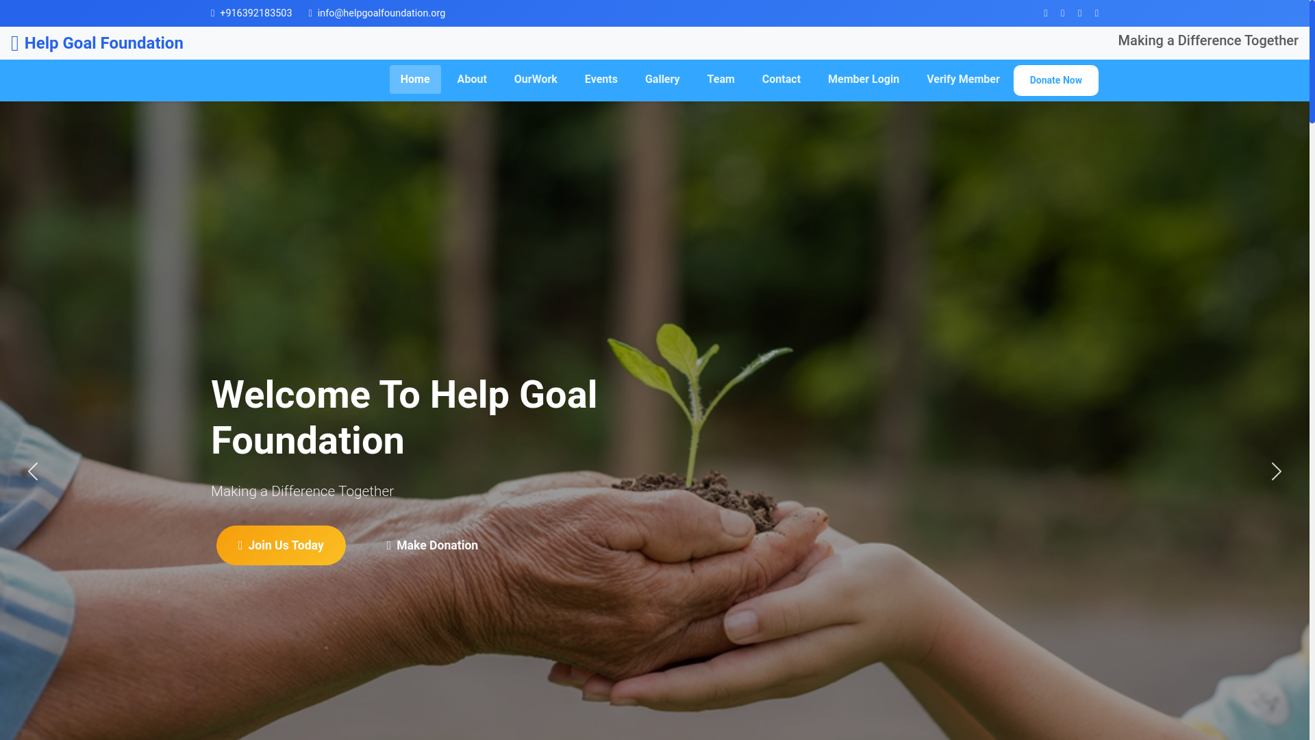 website screenshot of https://bssfihrsorganization.com/