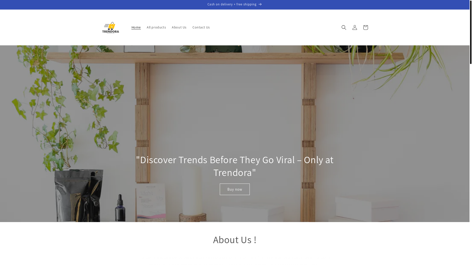 website screenshot of https://trendoramystore.com/