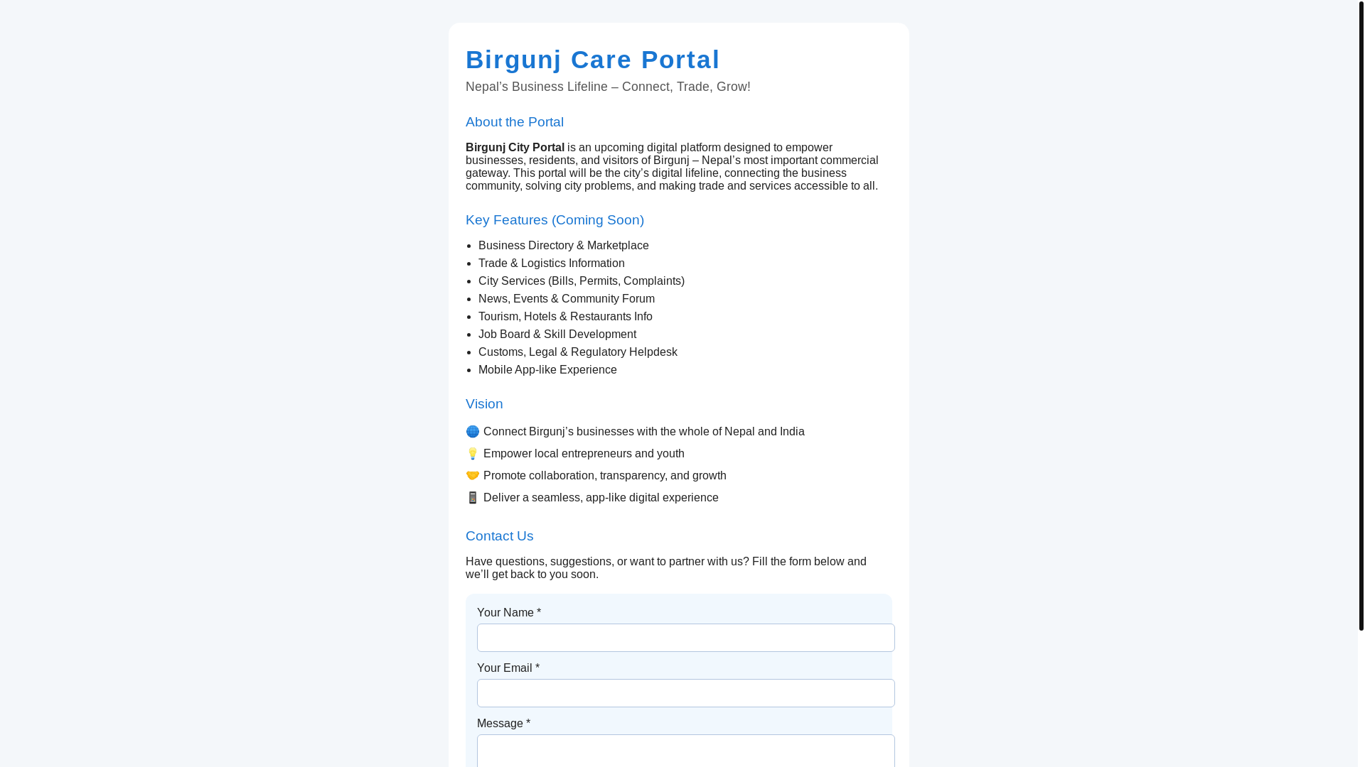website screenshot of https://birgunjcare.com/