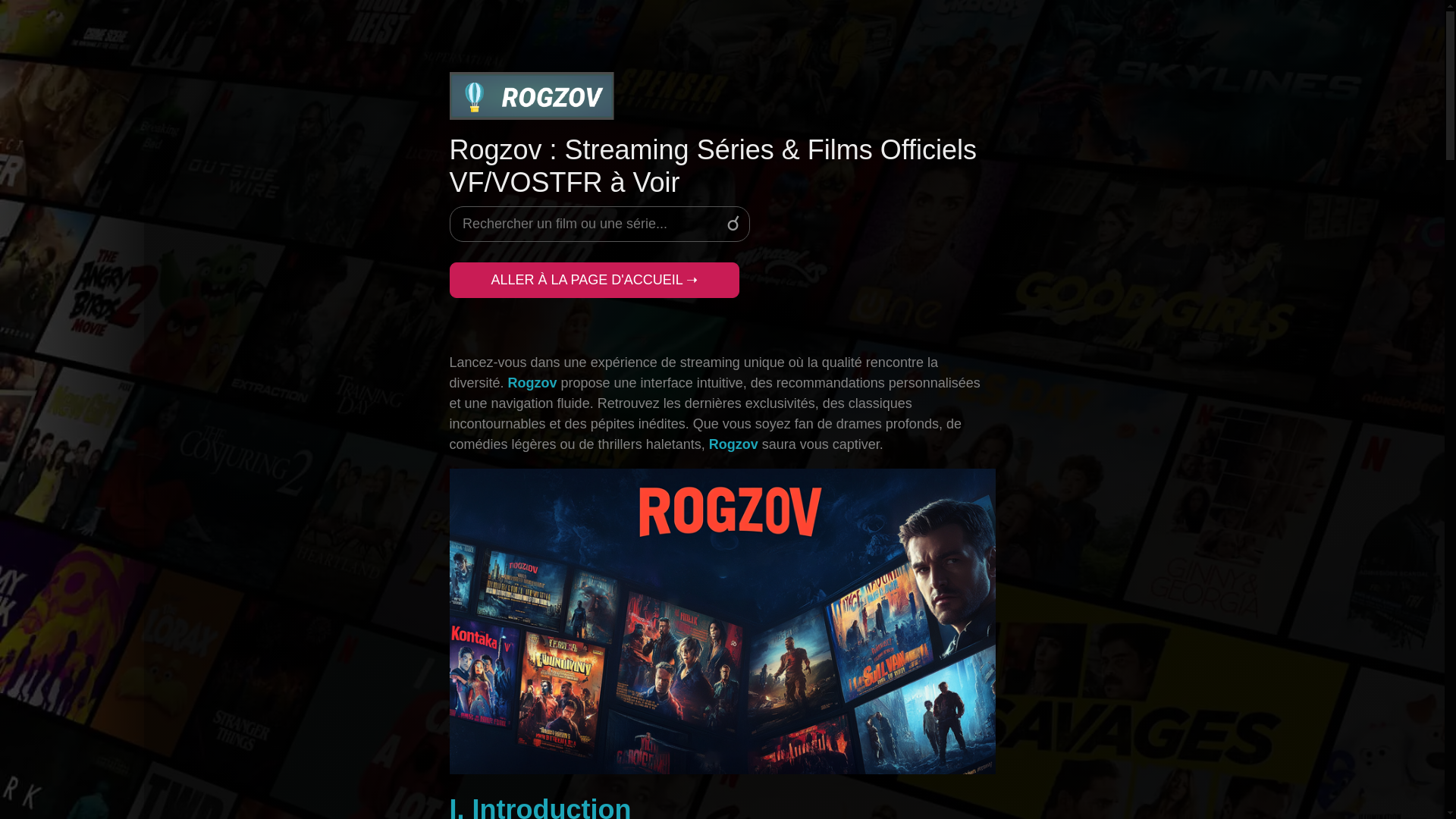 website screenshot of https://rogzov-store-jd8.pages.dev/
