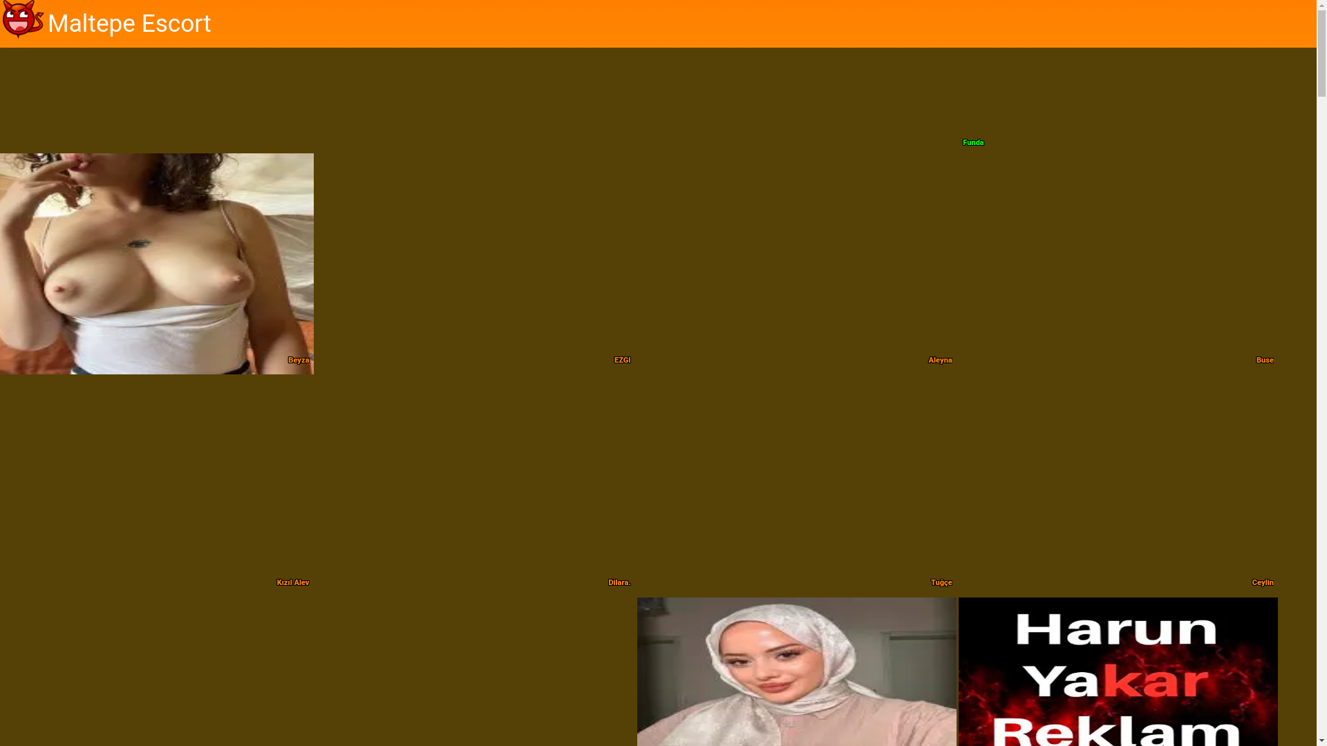 website screenshot of https://maltepeilan1.store/