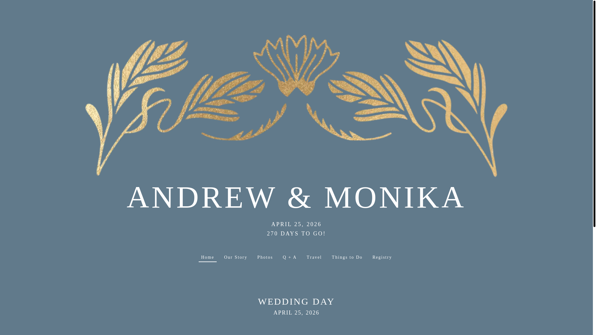 website screenshot of https://andrewandmonika.com/