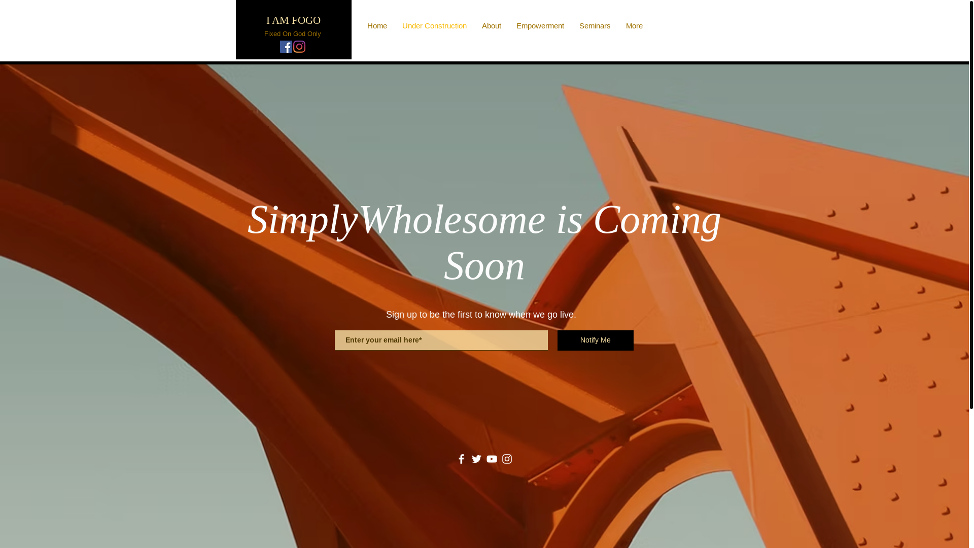 website screenshot of https://simplywholesomeohio.com/