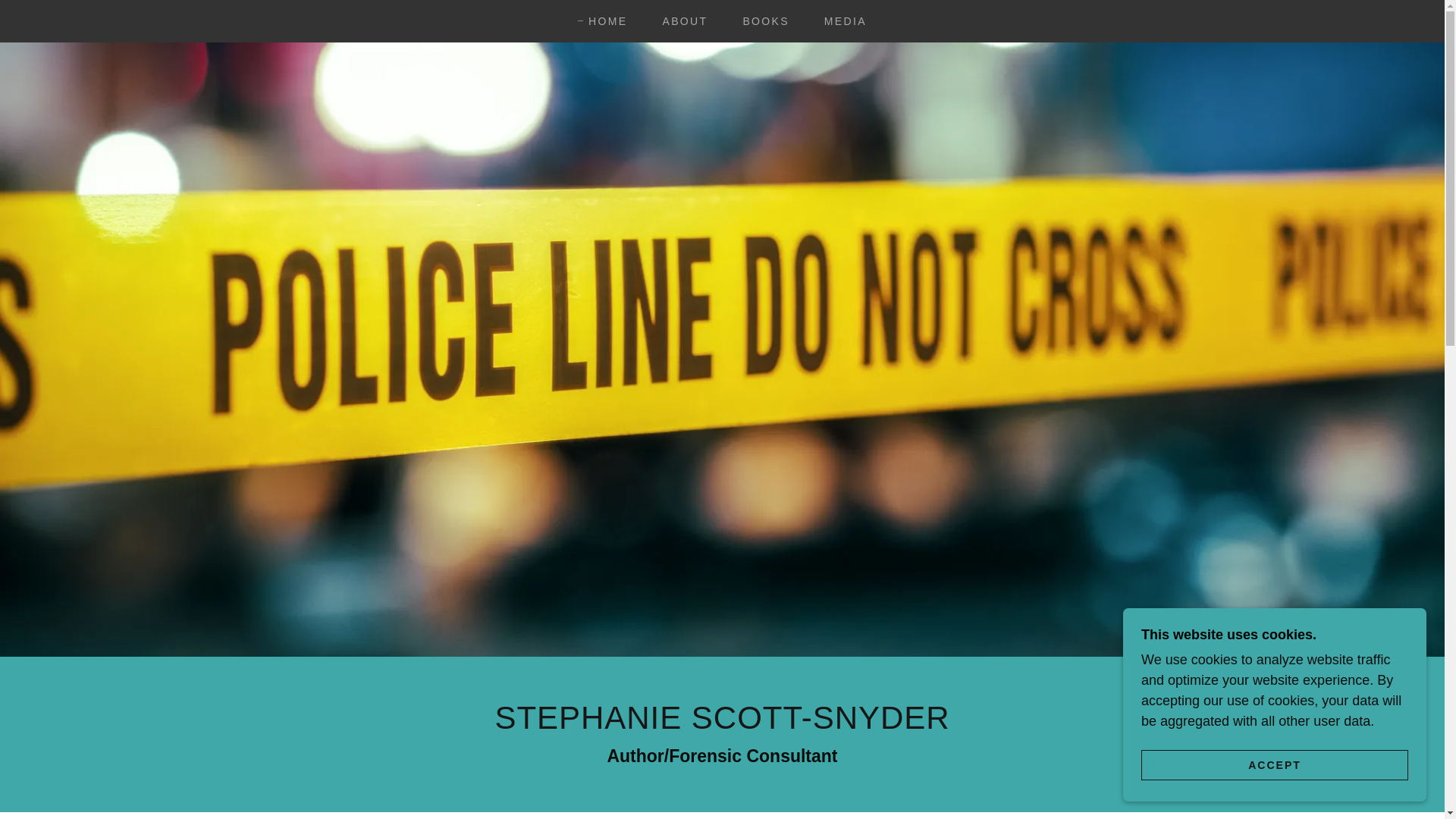 website screenshot of https://stephaniescottsnyder.com/