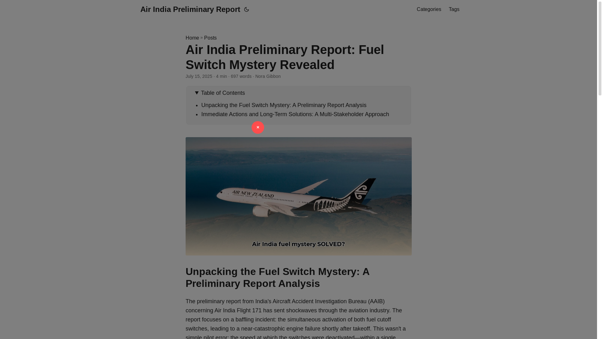 website screenshot of https://air-india-preliminary-report.pages.dev/