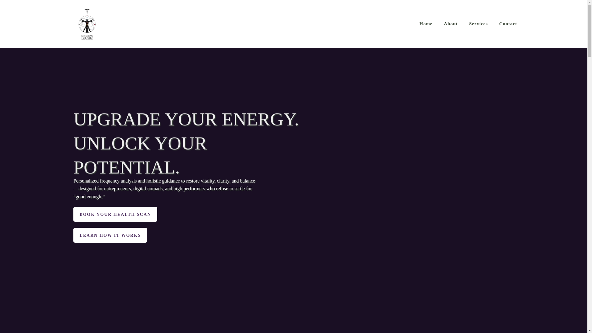 website screenshot of https://sebastianholistic.com/