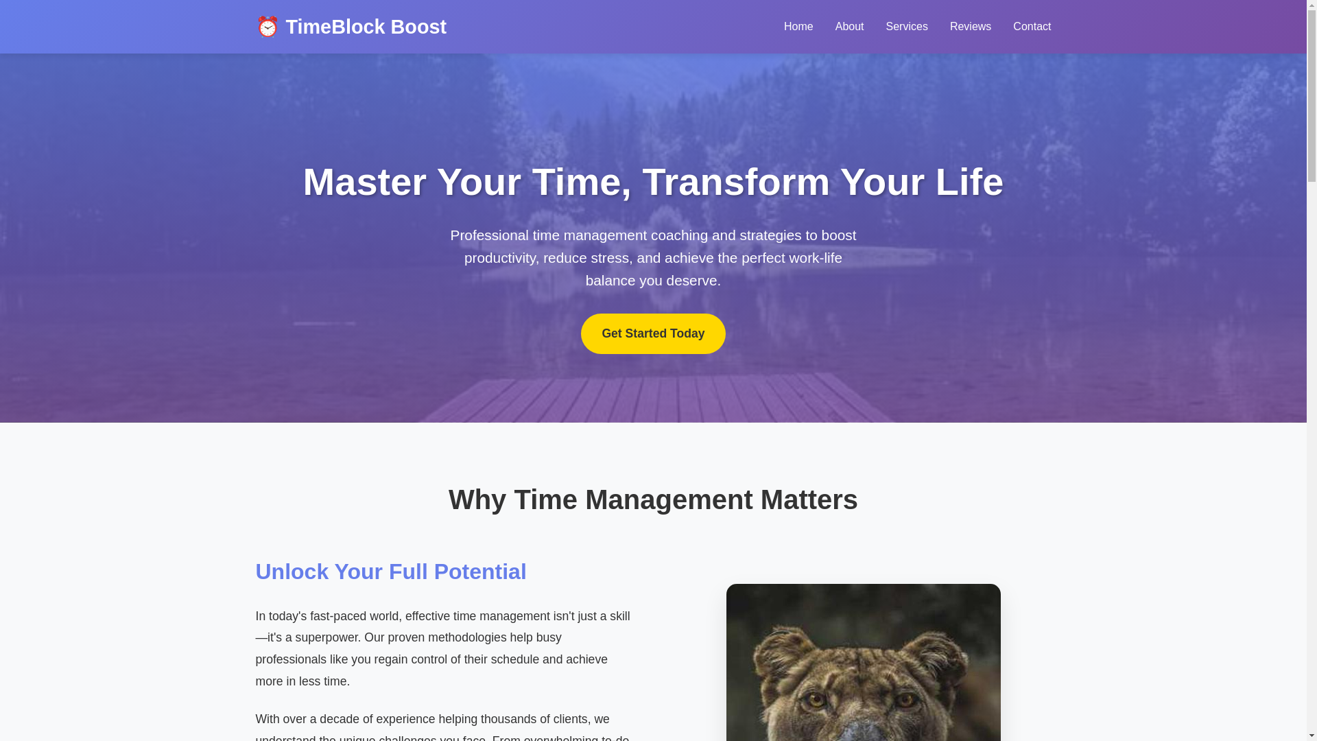 website screenshot of https://timeblockboost.sbs/