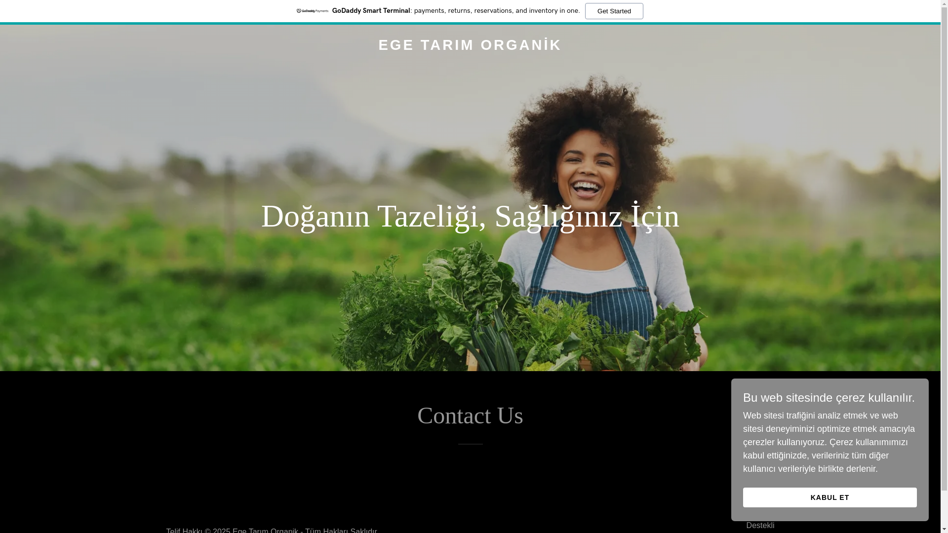 website screenshot of https://egetarimorganik.com/