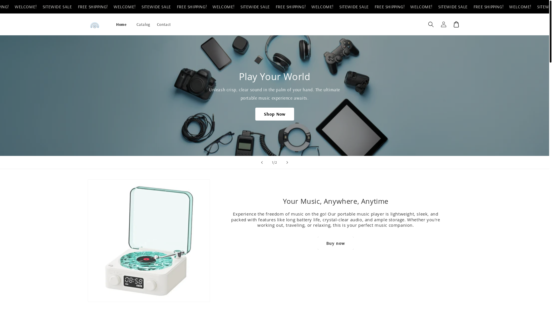 website screenshot of https://teelectronics.store/