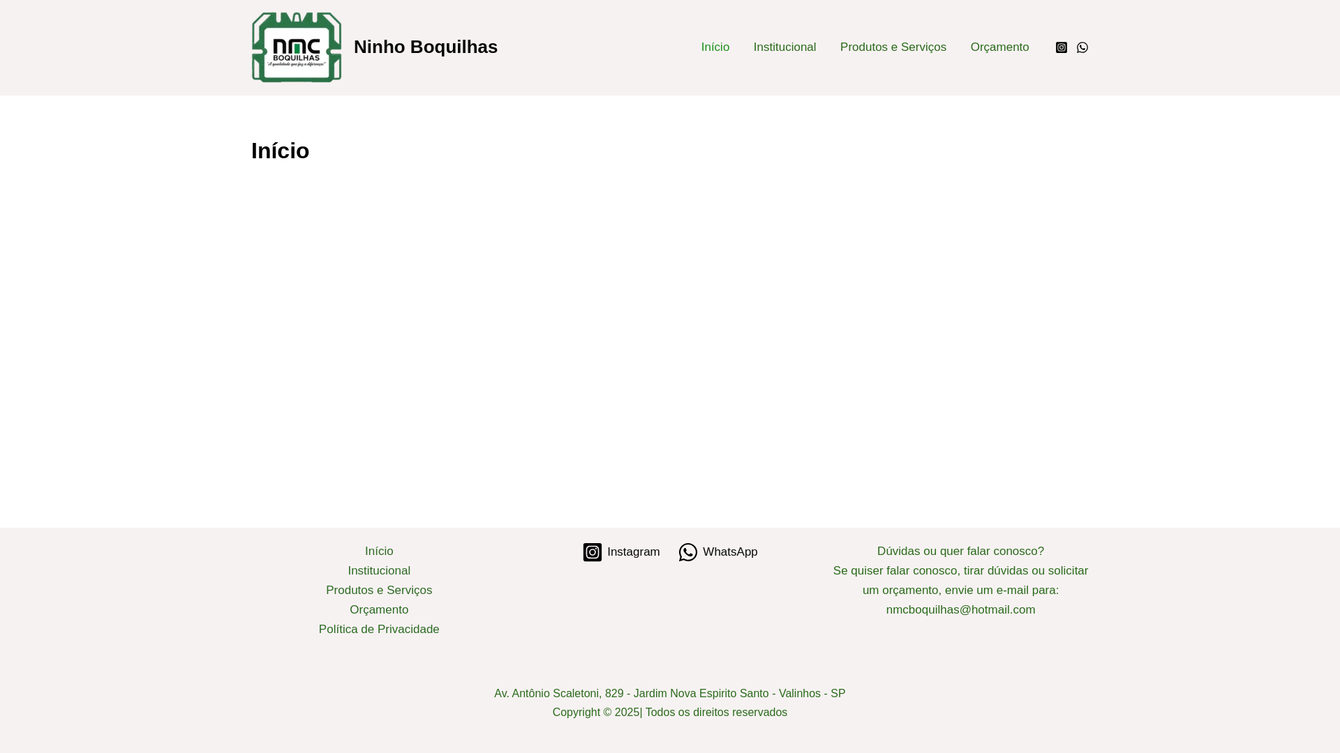 website screenshot of https://ninhoboquilhas.com.br/