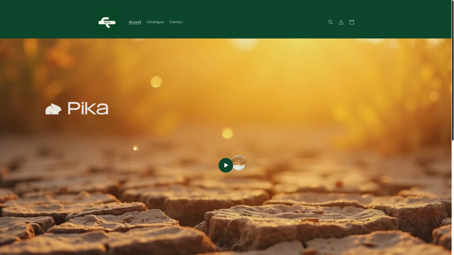website screenshot of https://cactil.com/