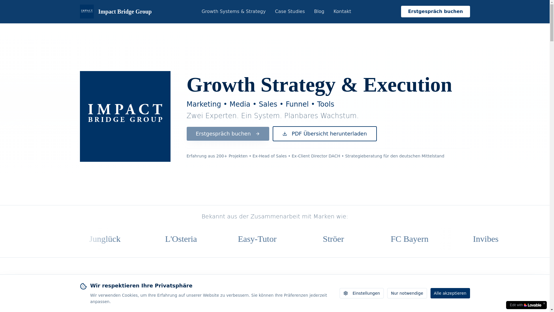 website screenshot of https://impact-bridge.store/