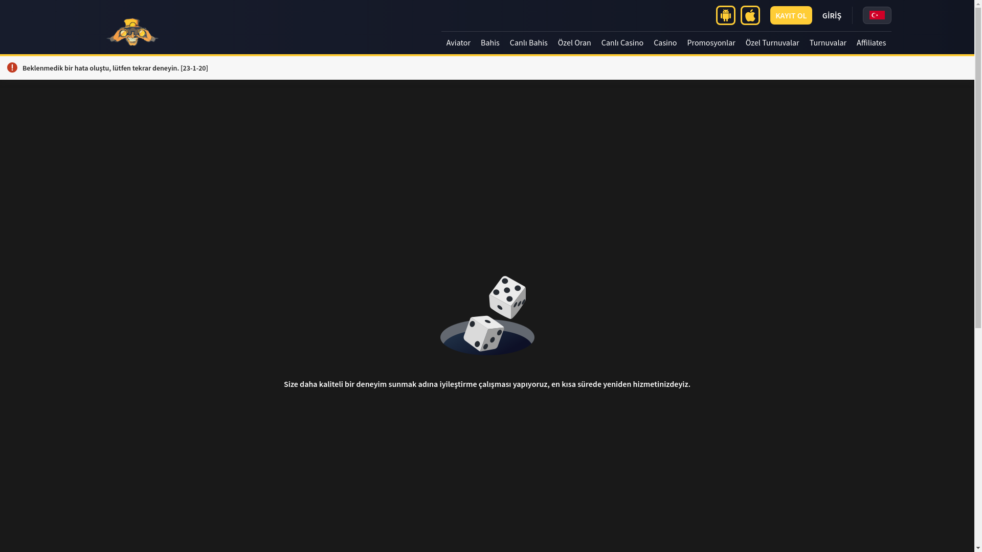 website screenshot of https://tr.holi-guncelgirisim.vip