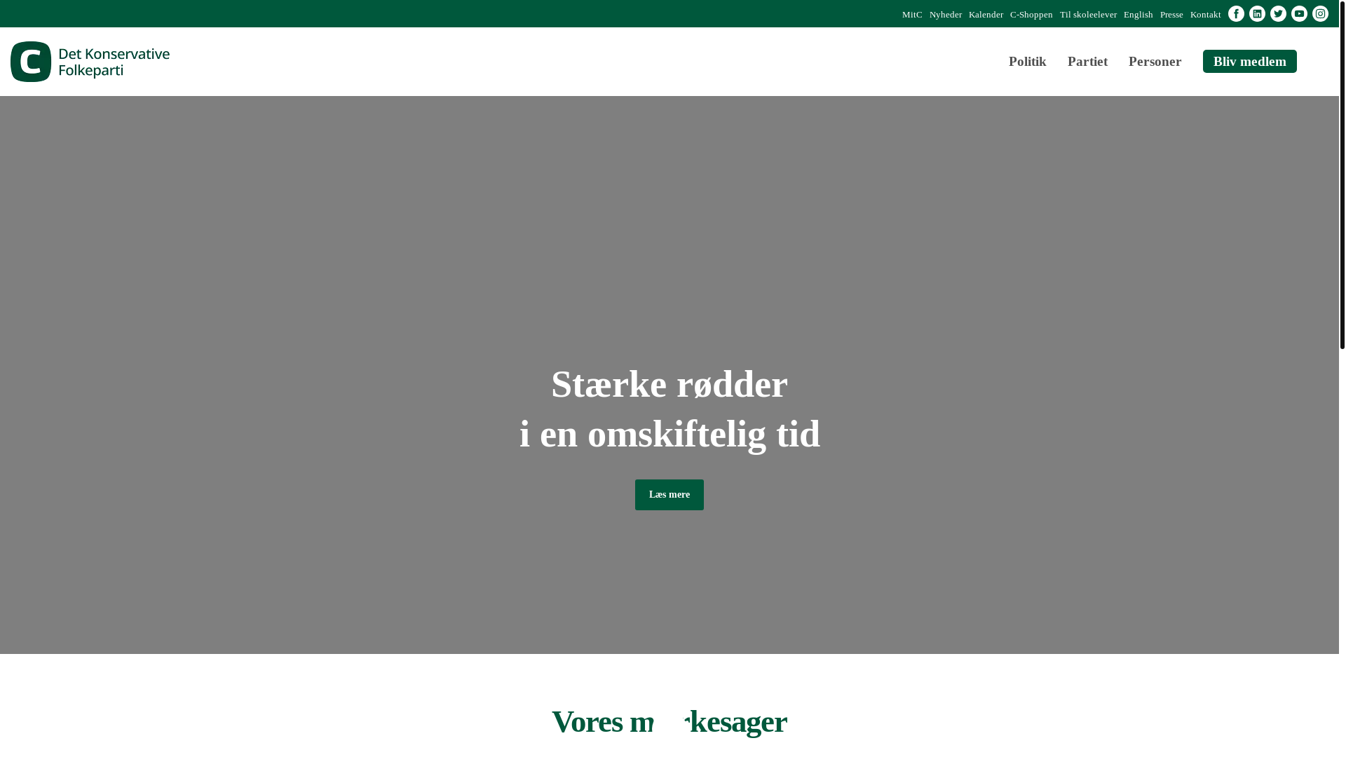 website screenshot of https://xn--stinestlund-kgb.dk/