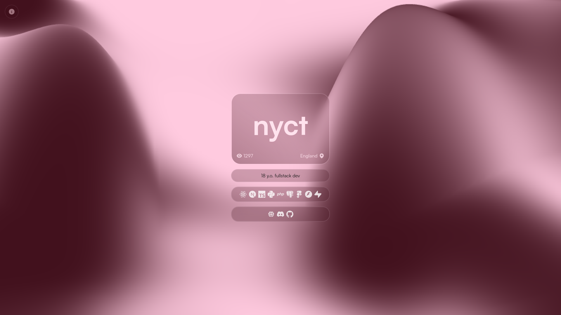 website screenshot of https://nyct.rest/