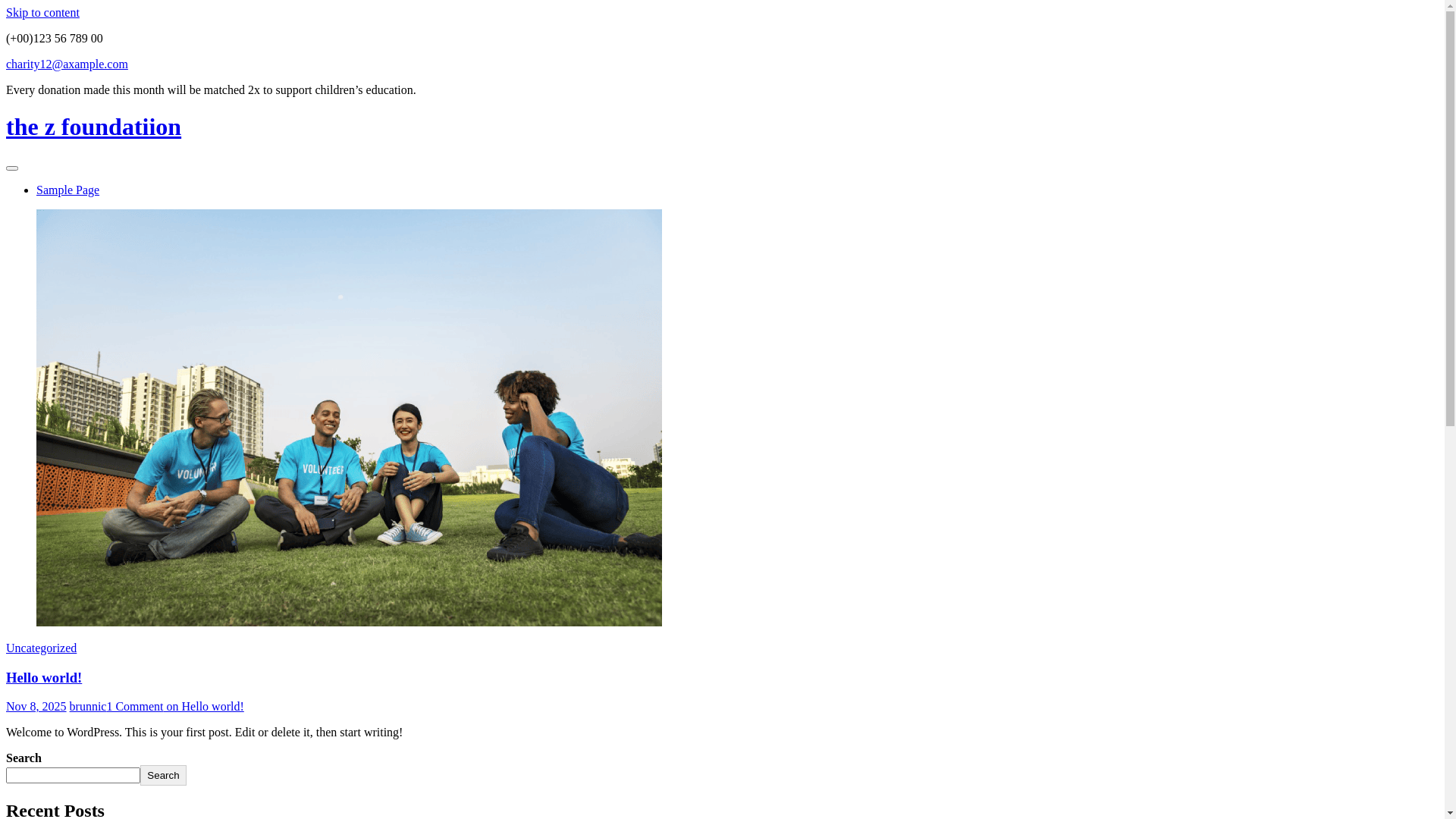 website screenshot of https://thezfoundatiion.org/