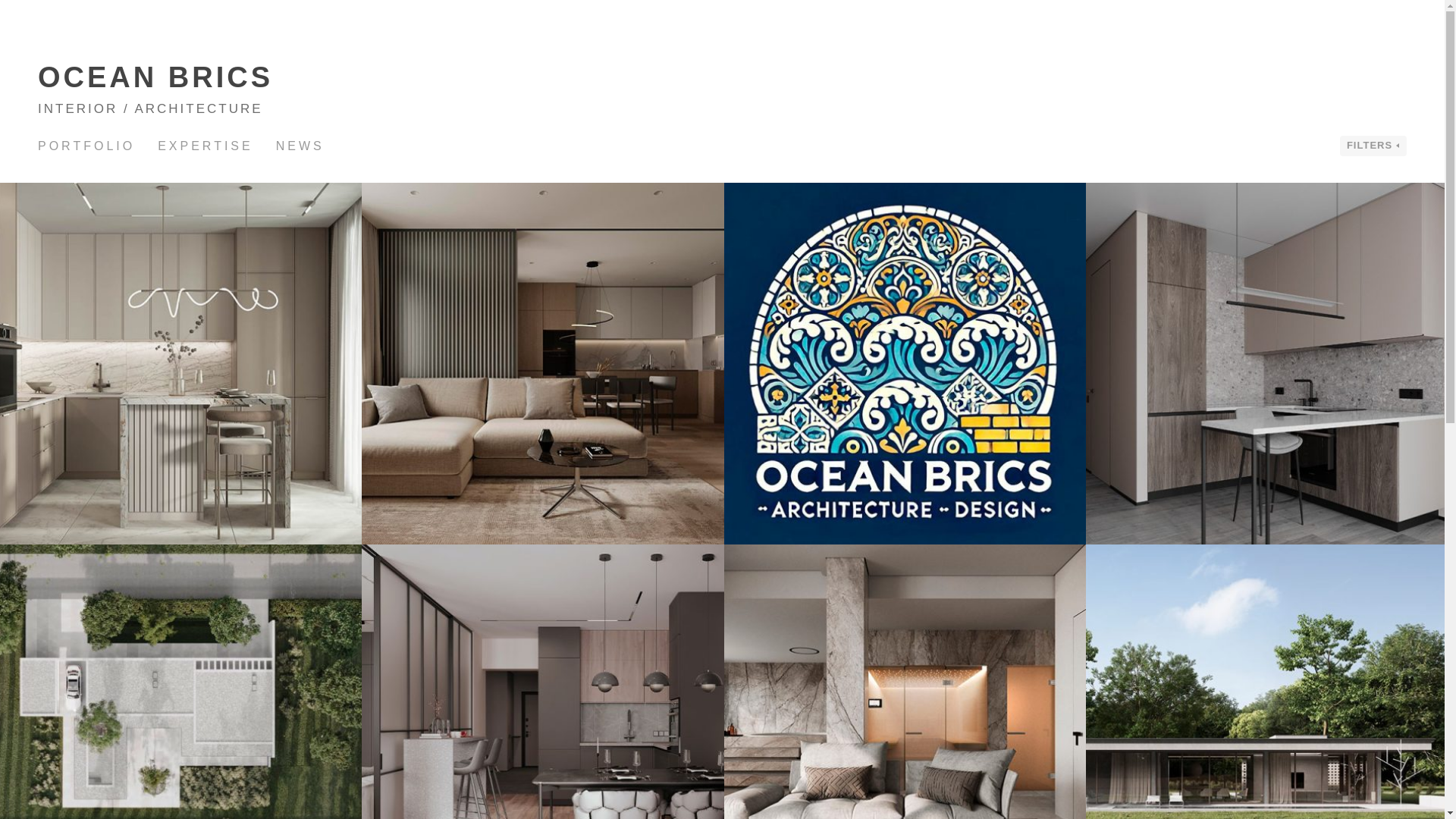 website screenshot of https://oceanbrics.com/