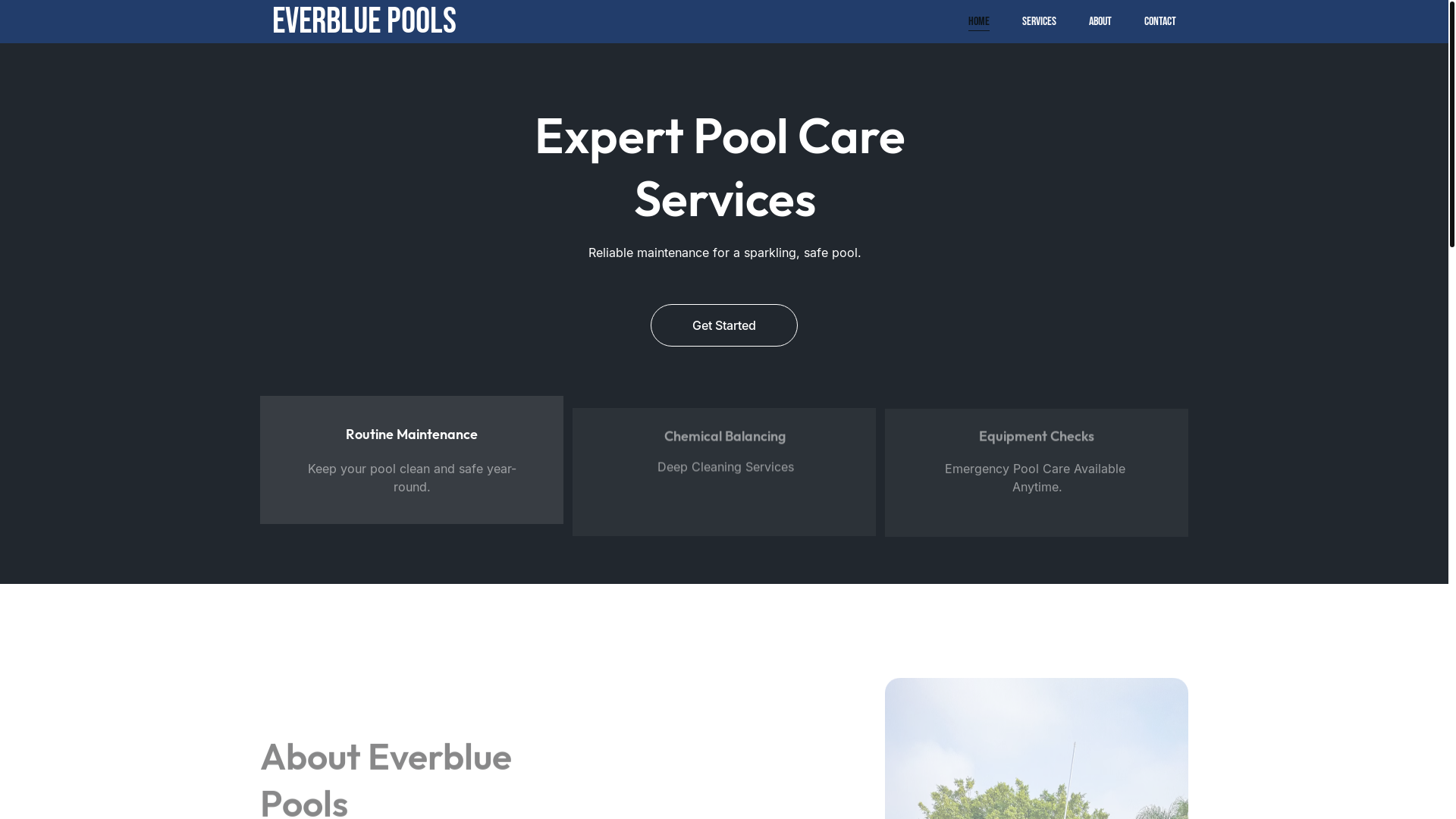 website screenshot of https://everbluepools.org/