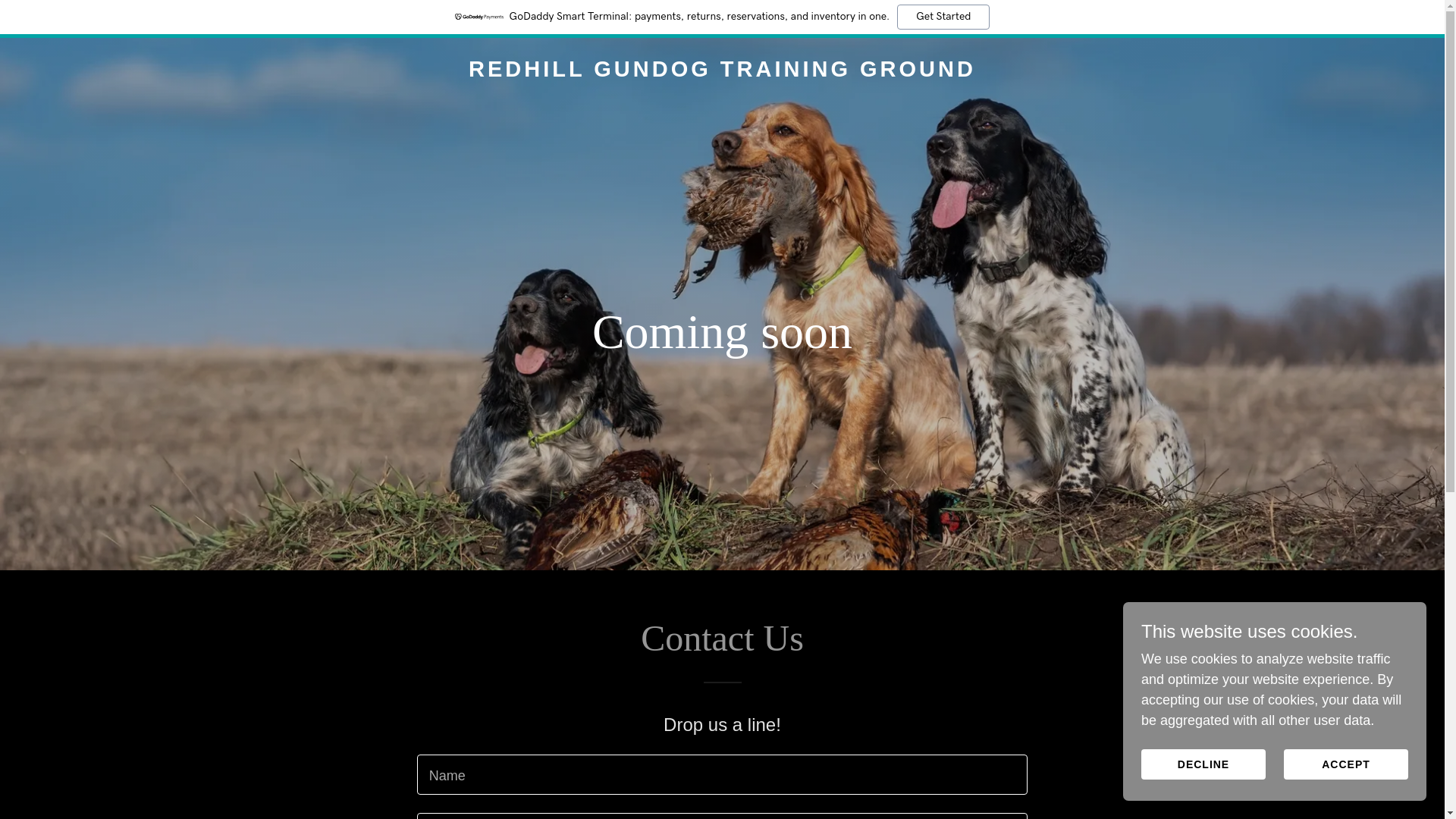 website screenshot of https://redhillgundogtrainingground.co.uk/