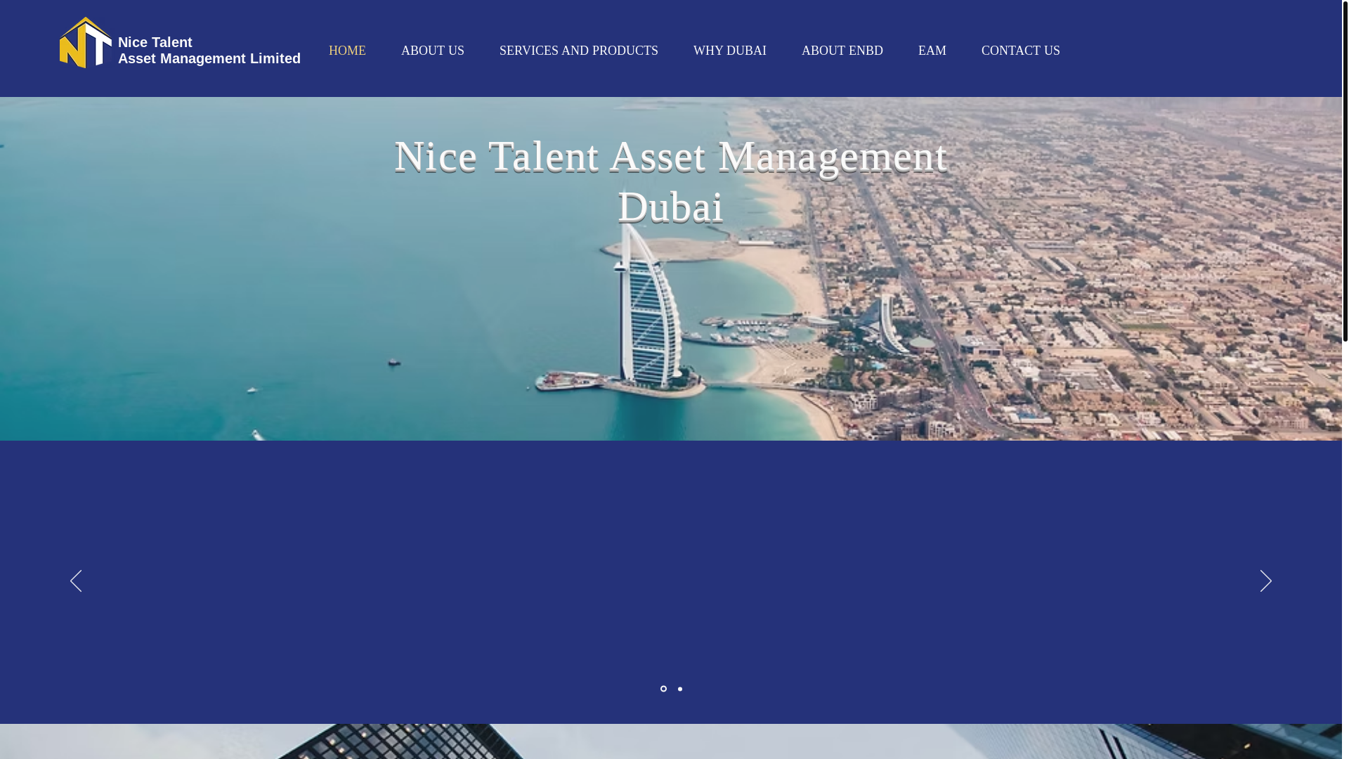 website screenshot of https://nicetalentdubai.ae/