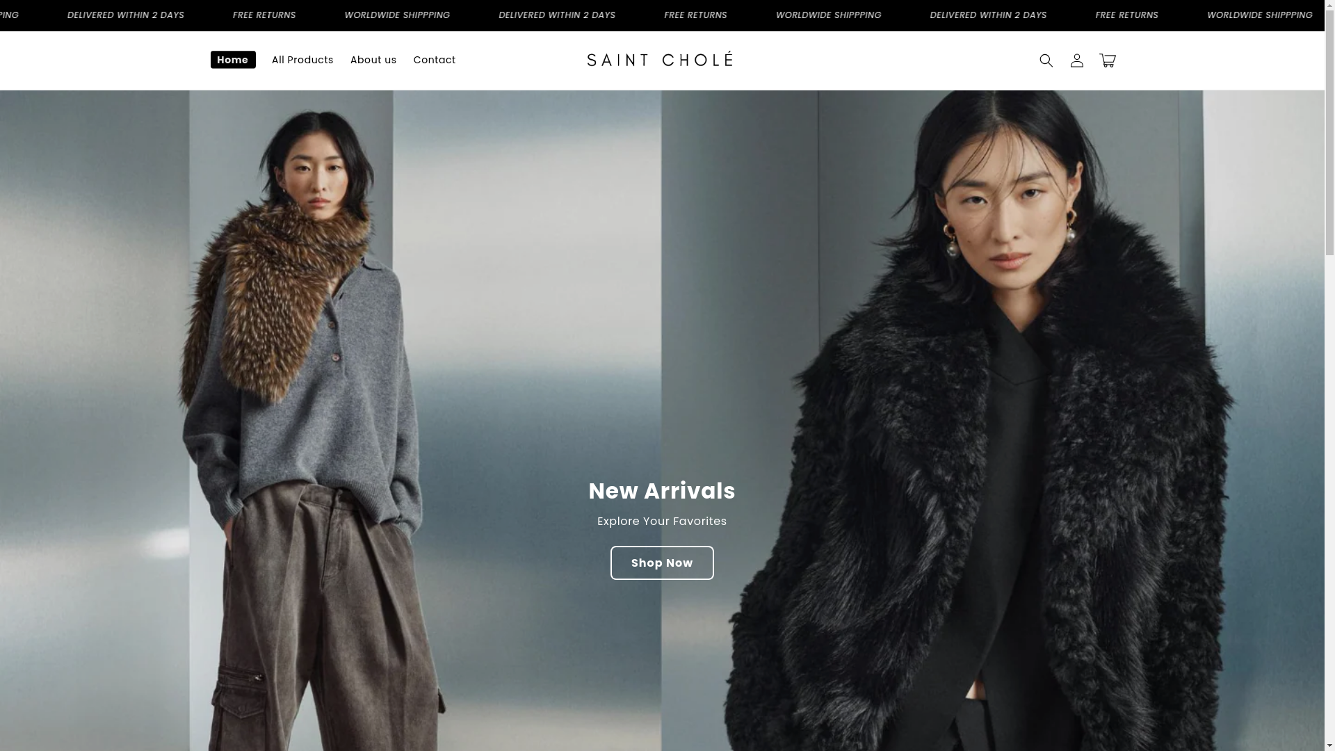 website screenshot of https://saintchole.com/