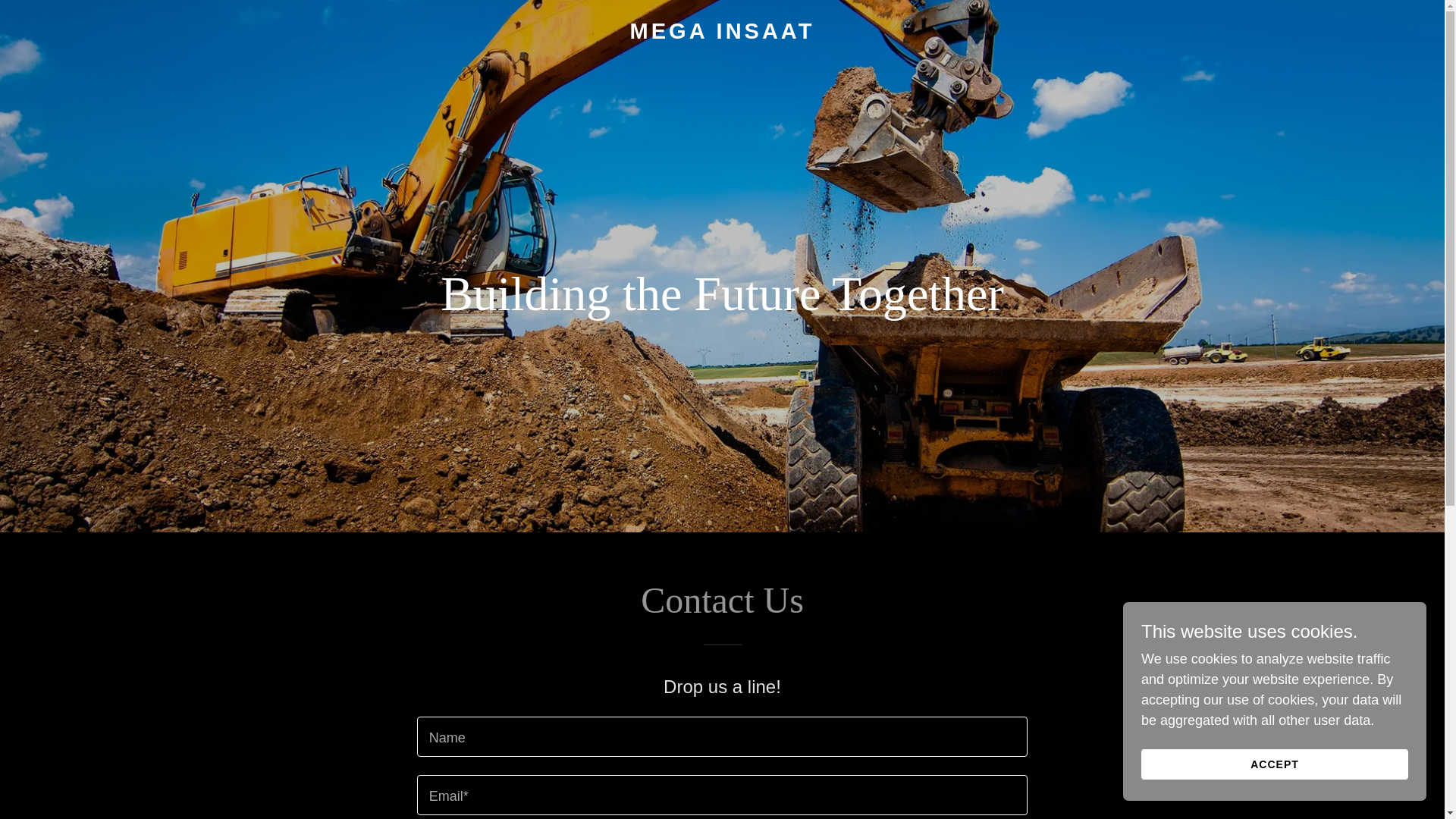 website screenshot of https://mega-insaat.com/