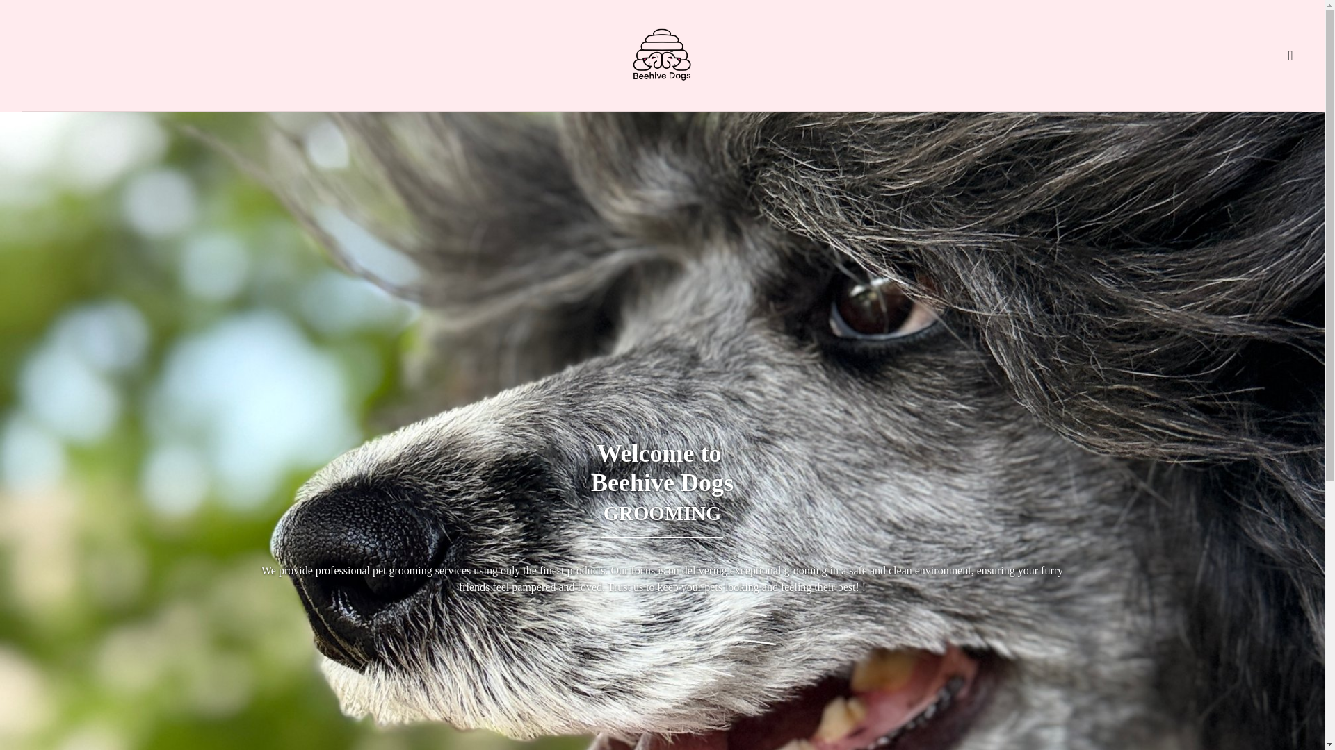website screenshot of https://beehivedogsgrooming.com/