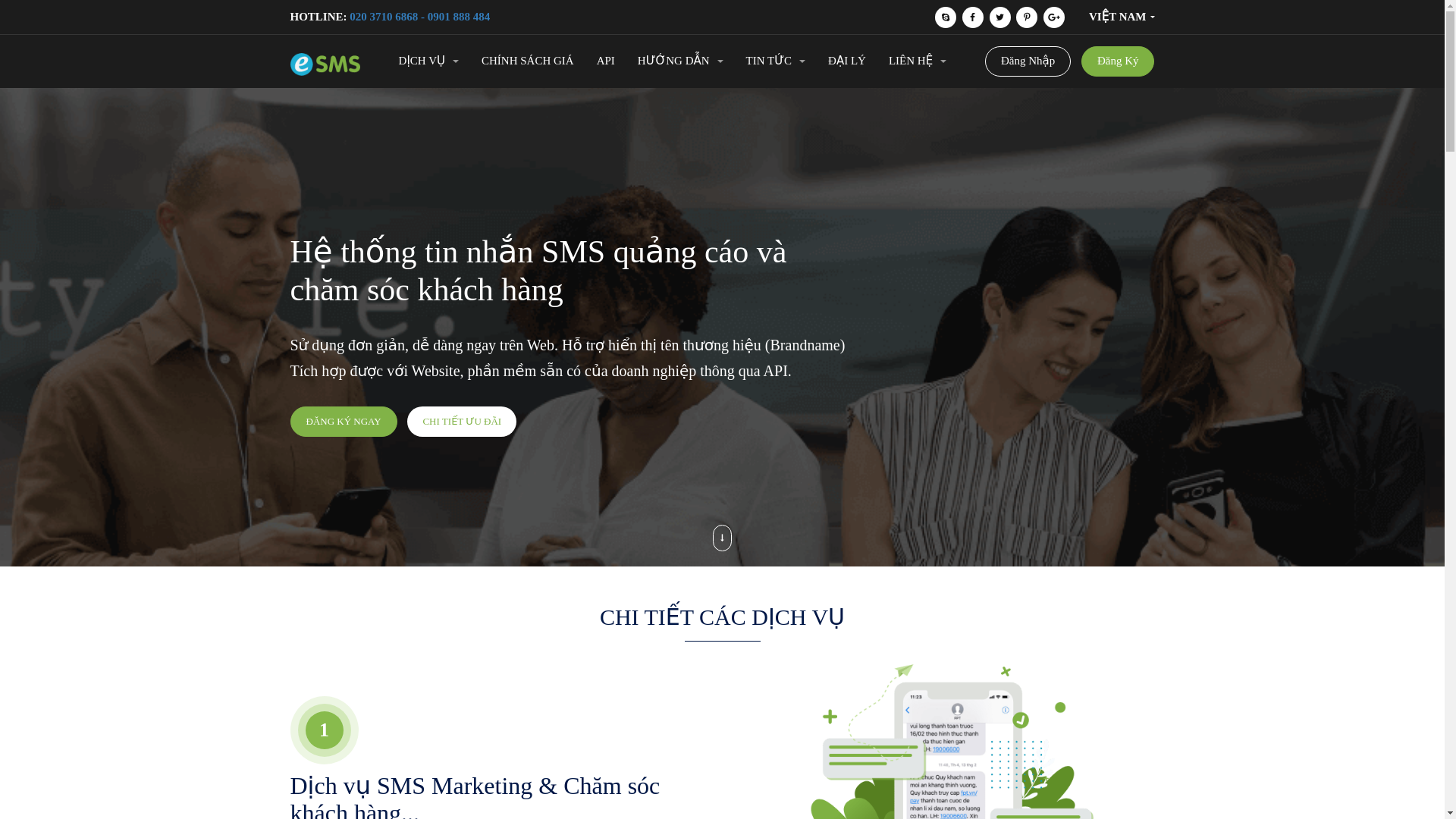 website screenshot of https://esms.vn/