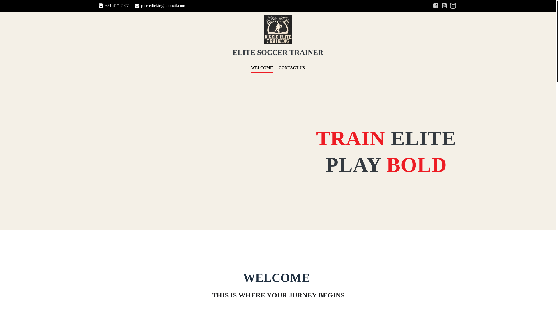 website screenshot of https://trainerdickie.com/