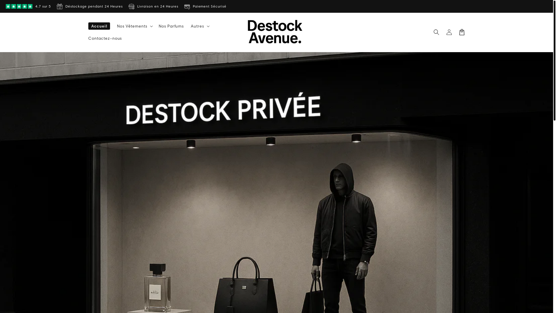 website screenshot of https://destockavenue-france.com/