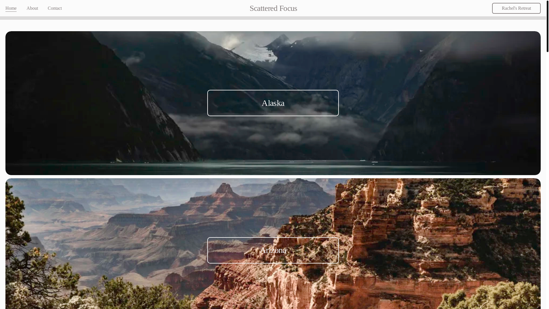 website screenshot of https://scattered-focus.com/