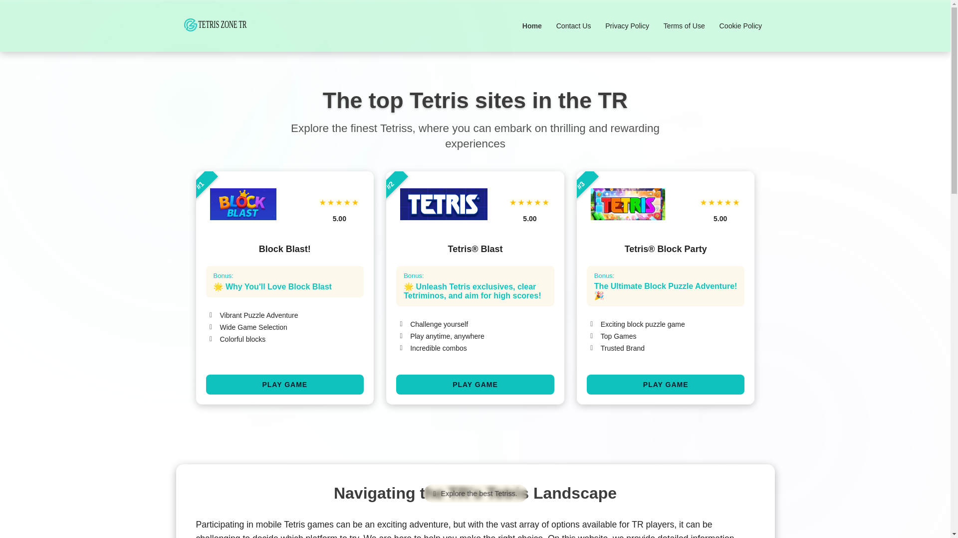 website screenshot of https://tetriszonetr.pro/