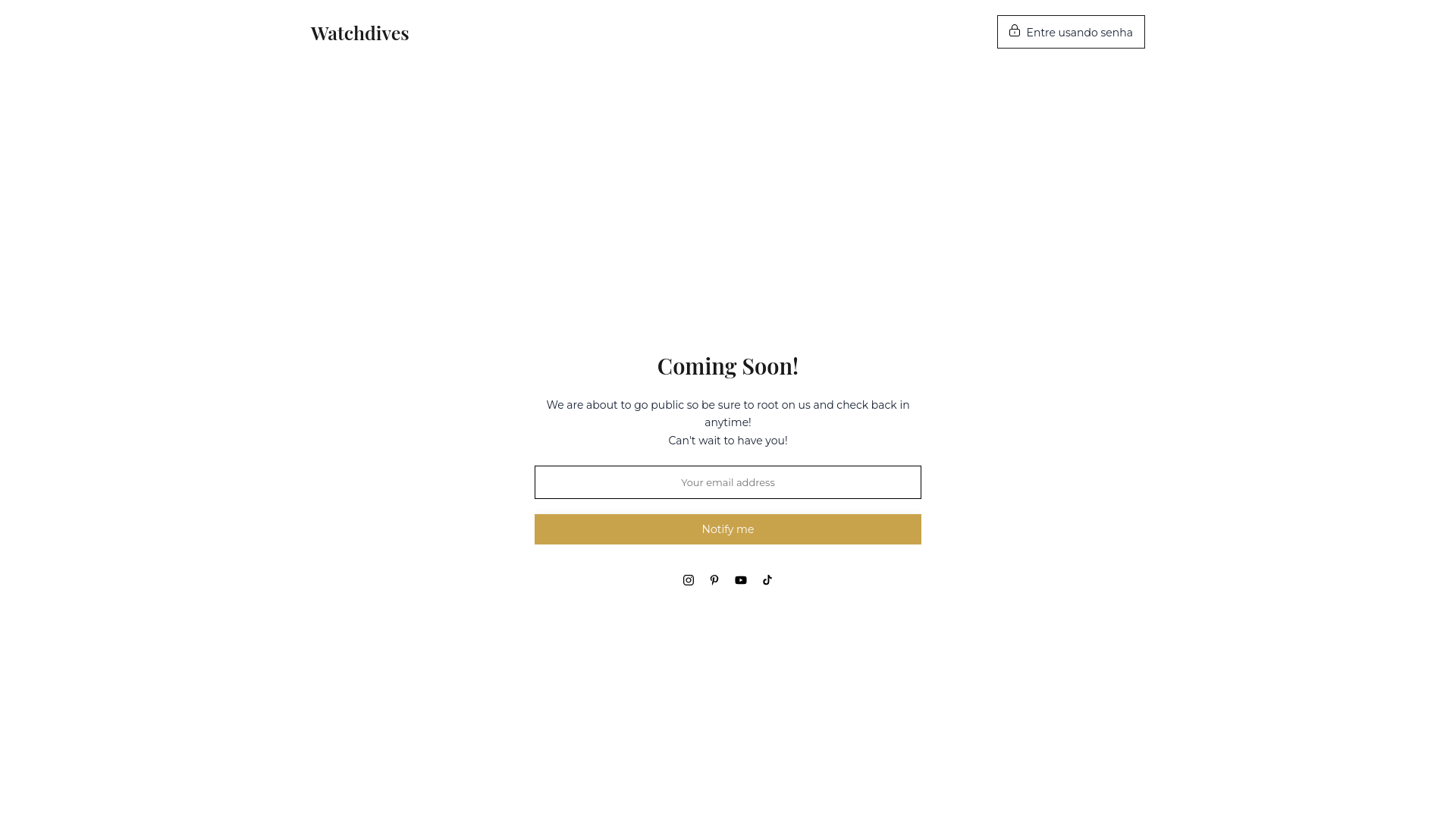 website screenshot of https://watchdivesbrasil.com.br/