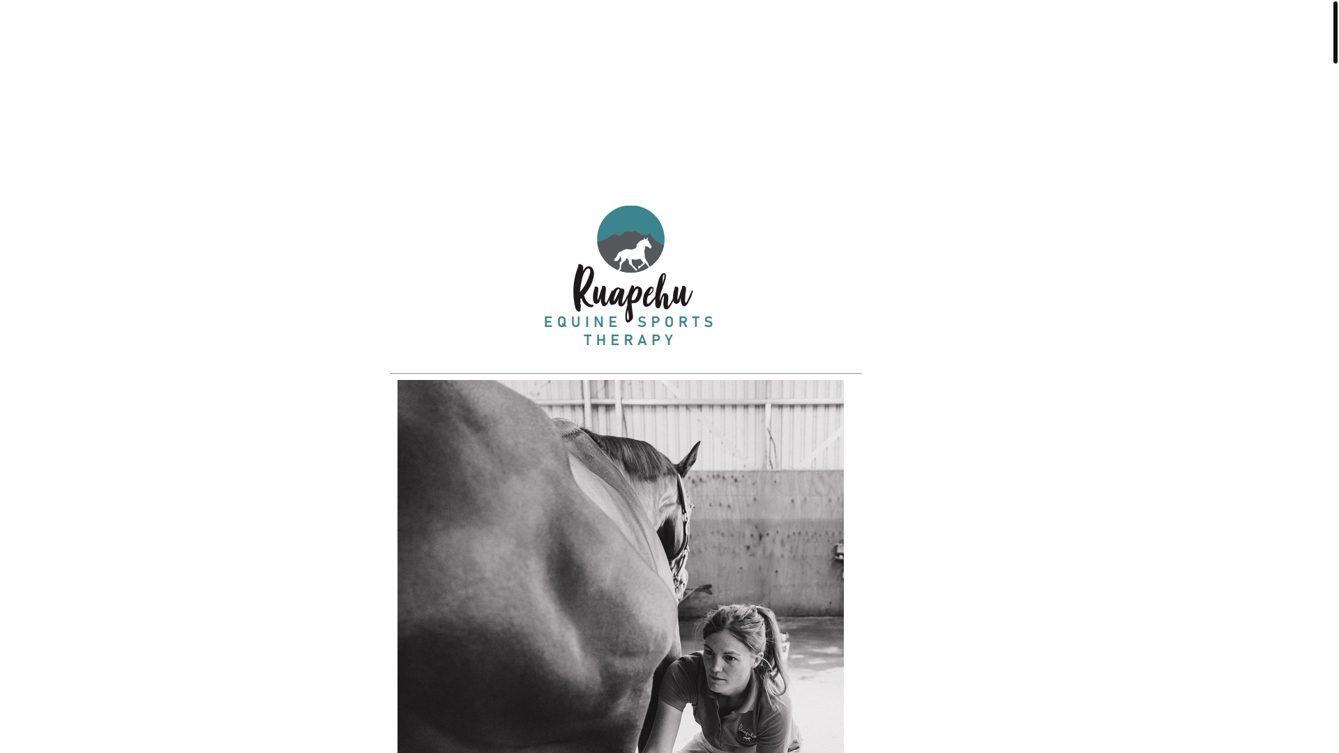 website screenshot of https://ruapehuequinesportstherapy.co.nz/