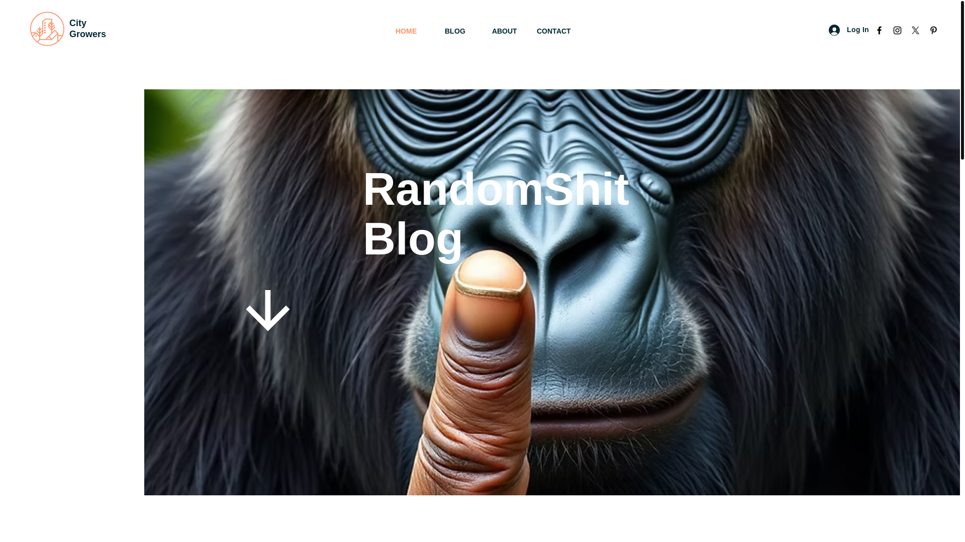 website screenshot of https://randomshithub.com/