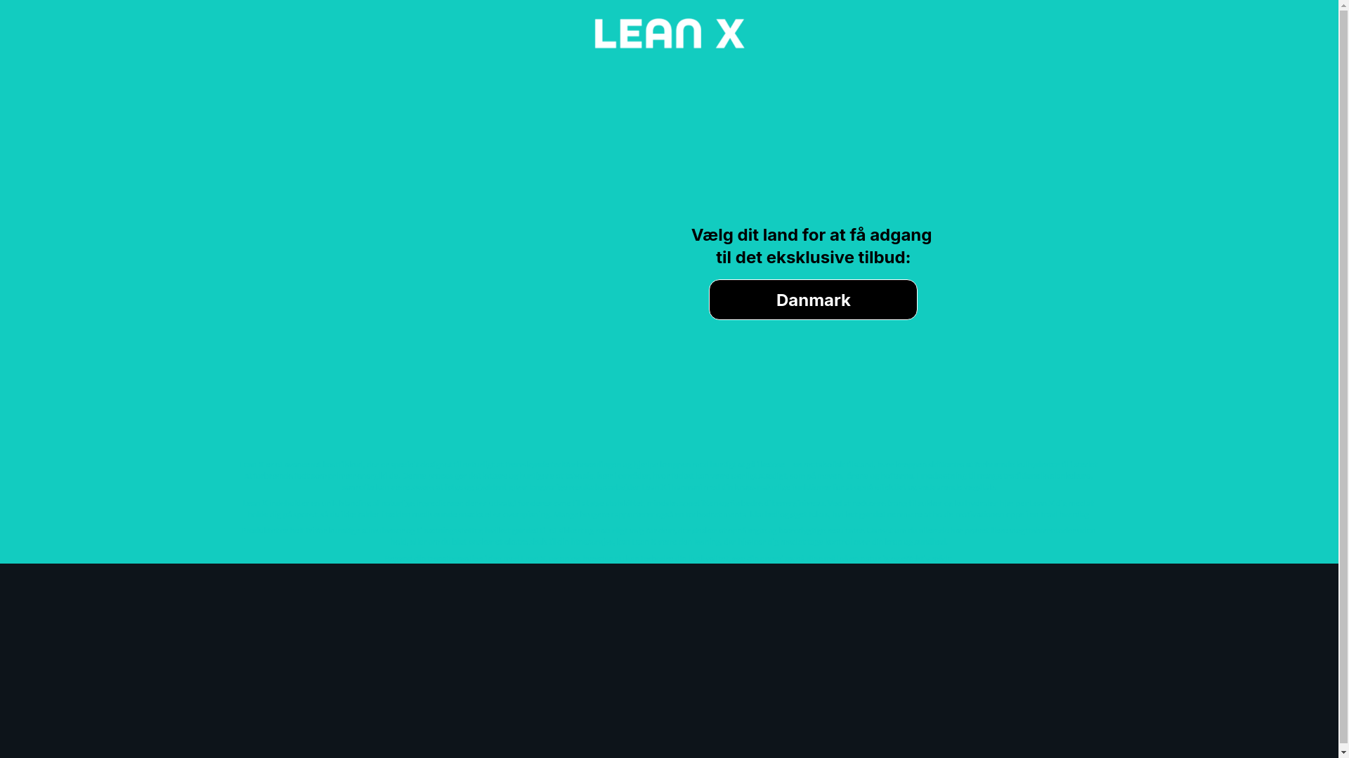 website screenshot of https://leanx-dk.site/