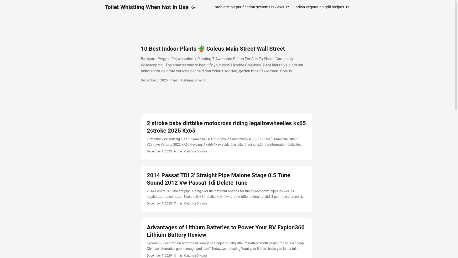 website screenshot of https://toiletwhistlingwhennotinuse.pages.dev/