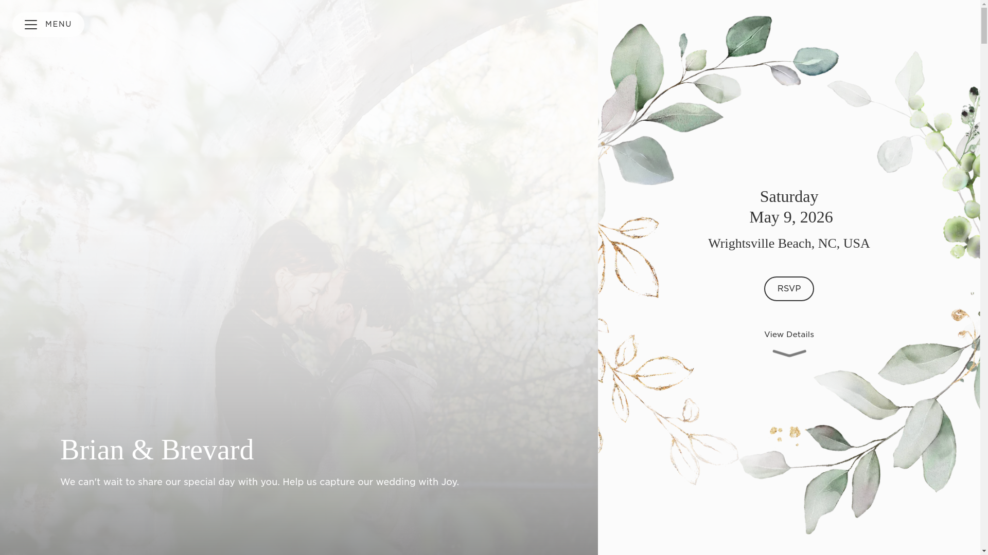 website screenshot of https://breandbriforever.com/