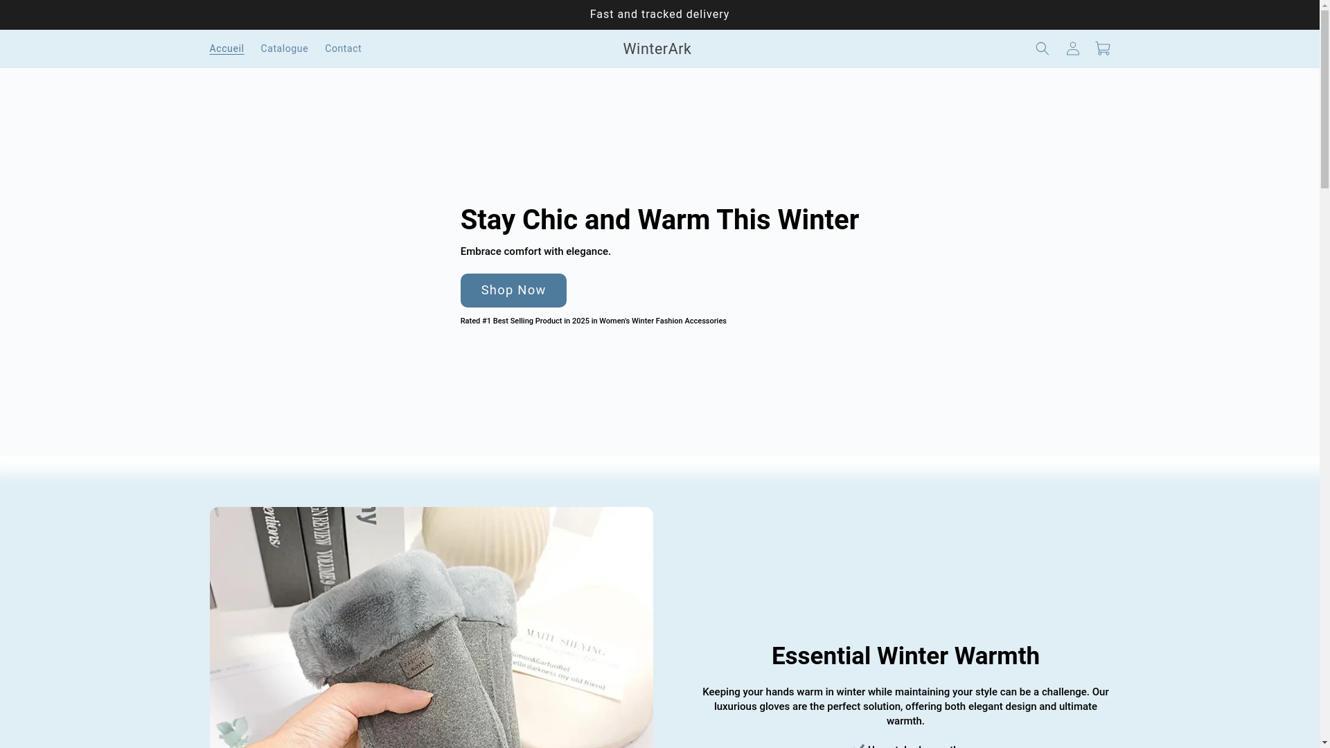 website screenshot of https://winterark.fr/